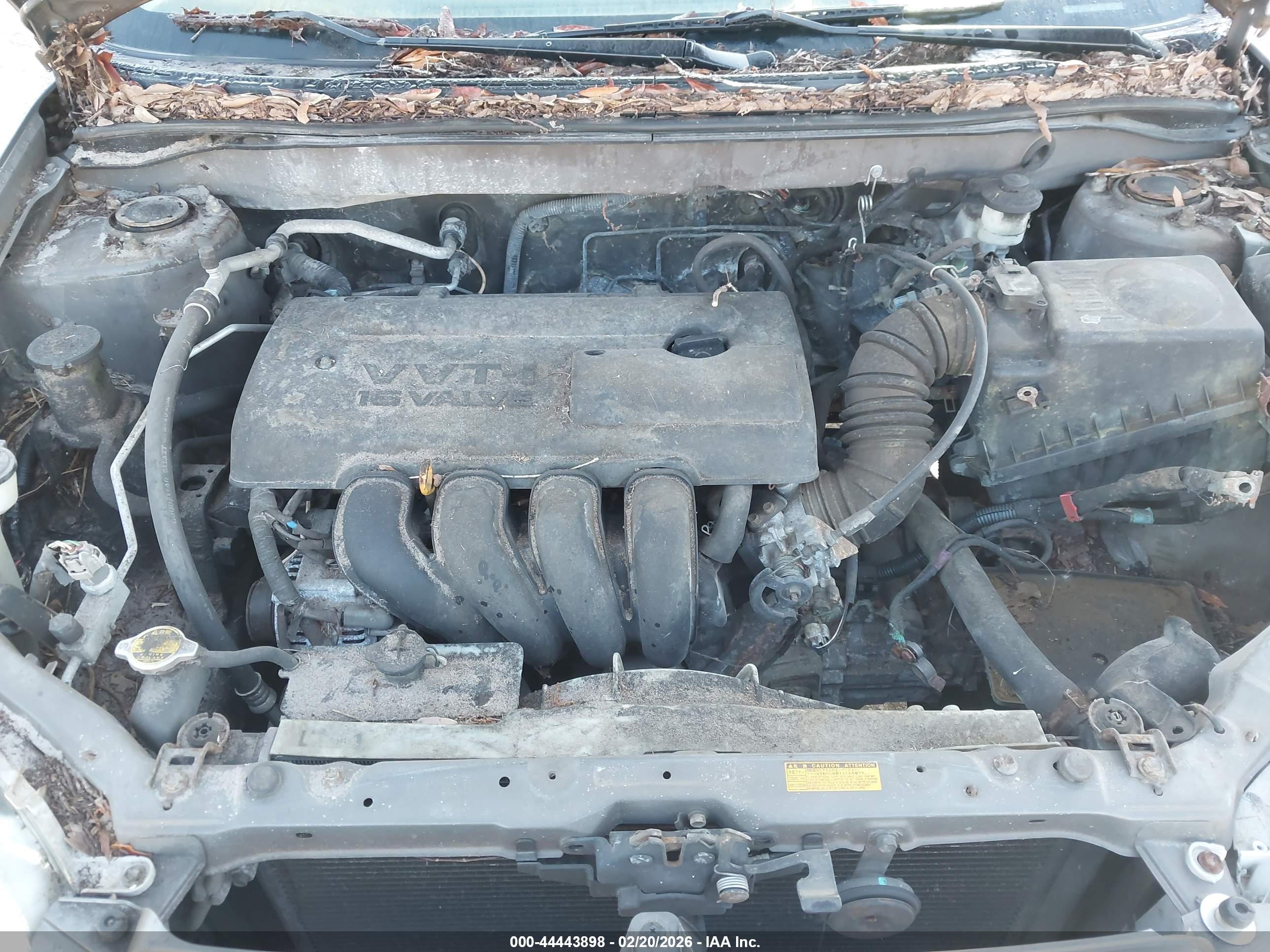 TOYOTA COROLLA image 10