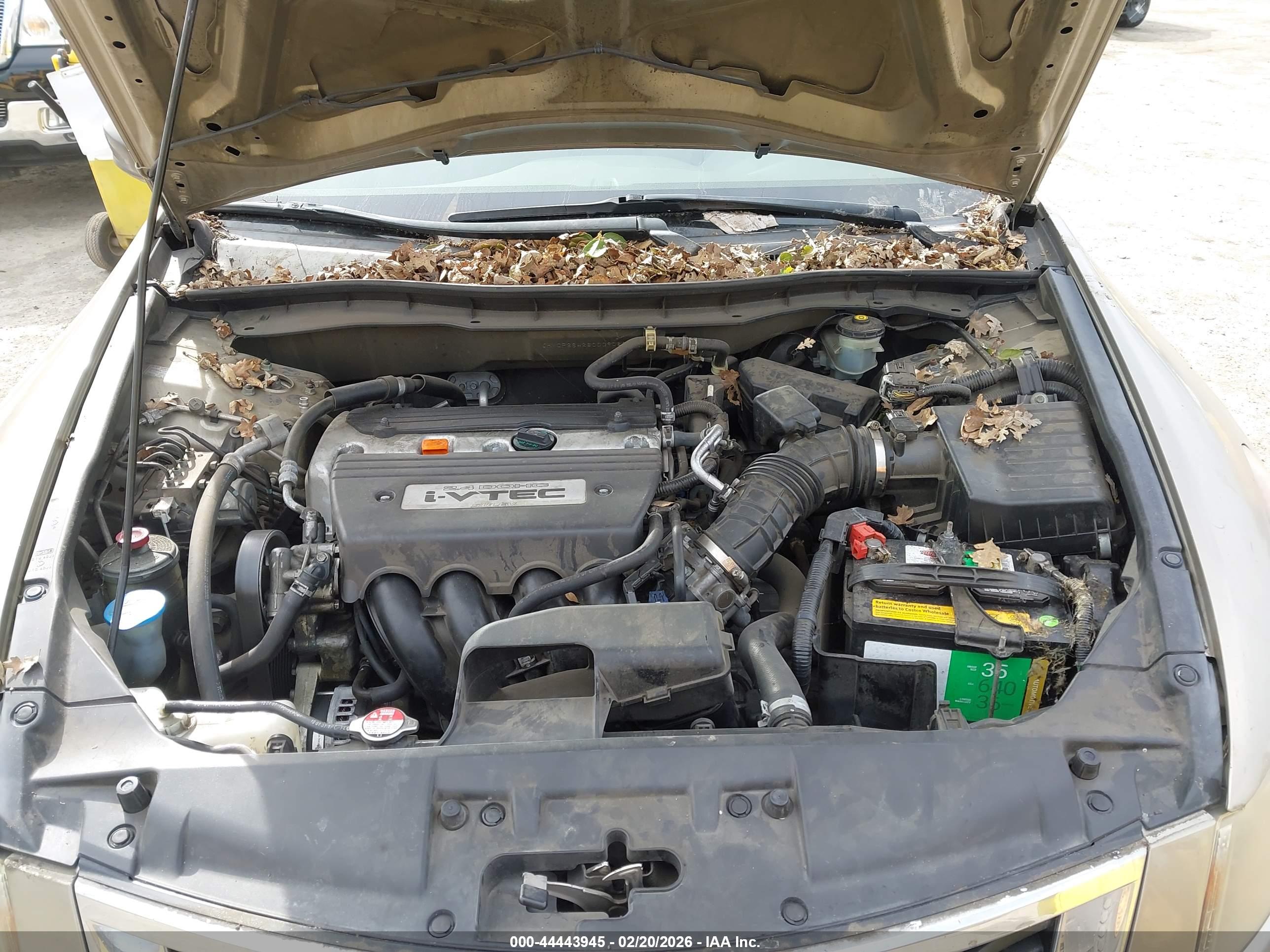 HONDA ACCORD image 10