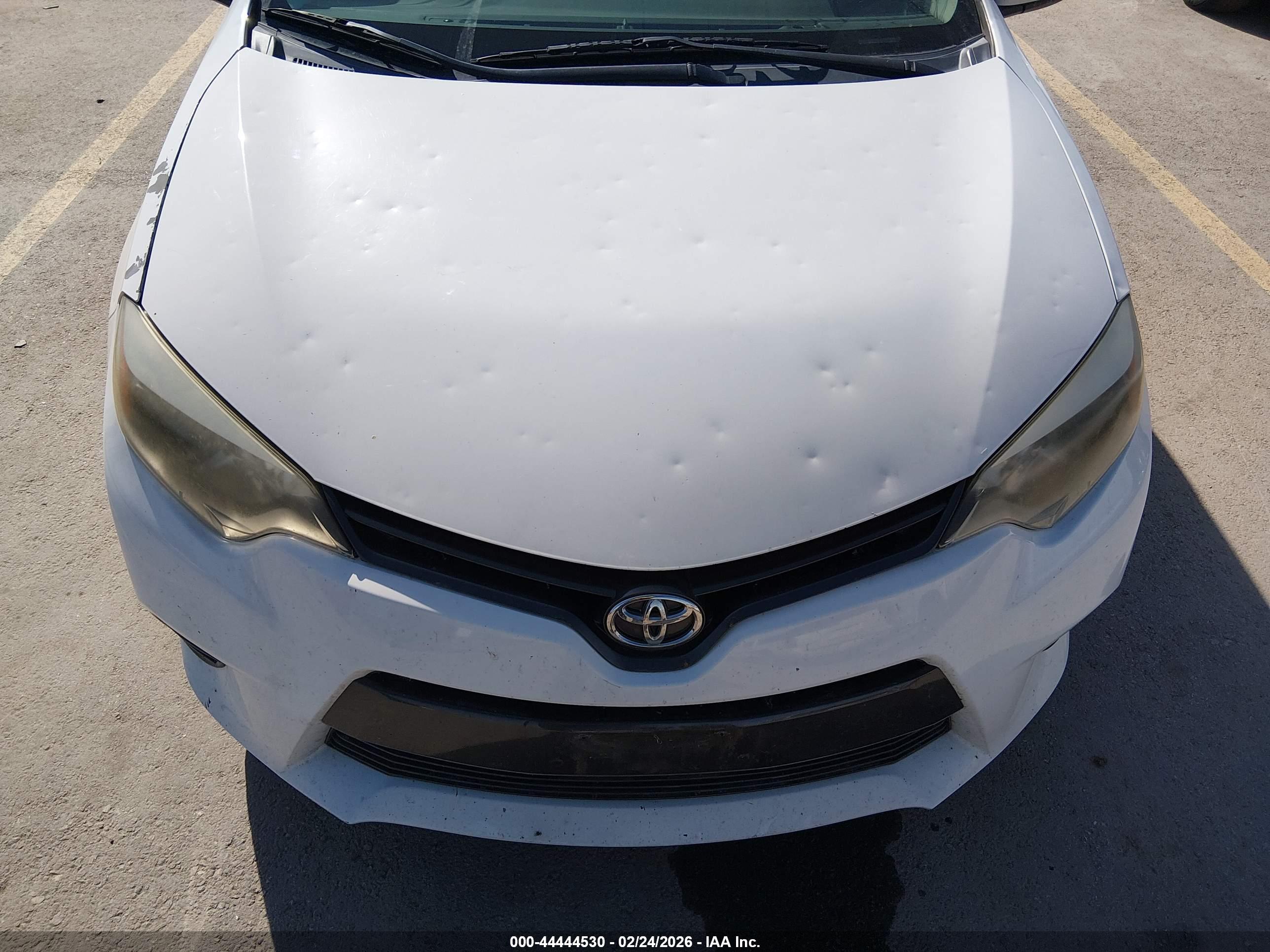 TOYOTA COROLLA image 6