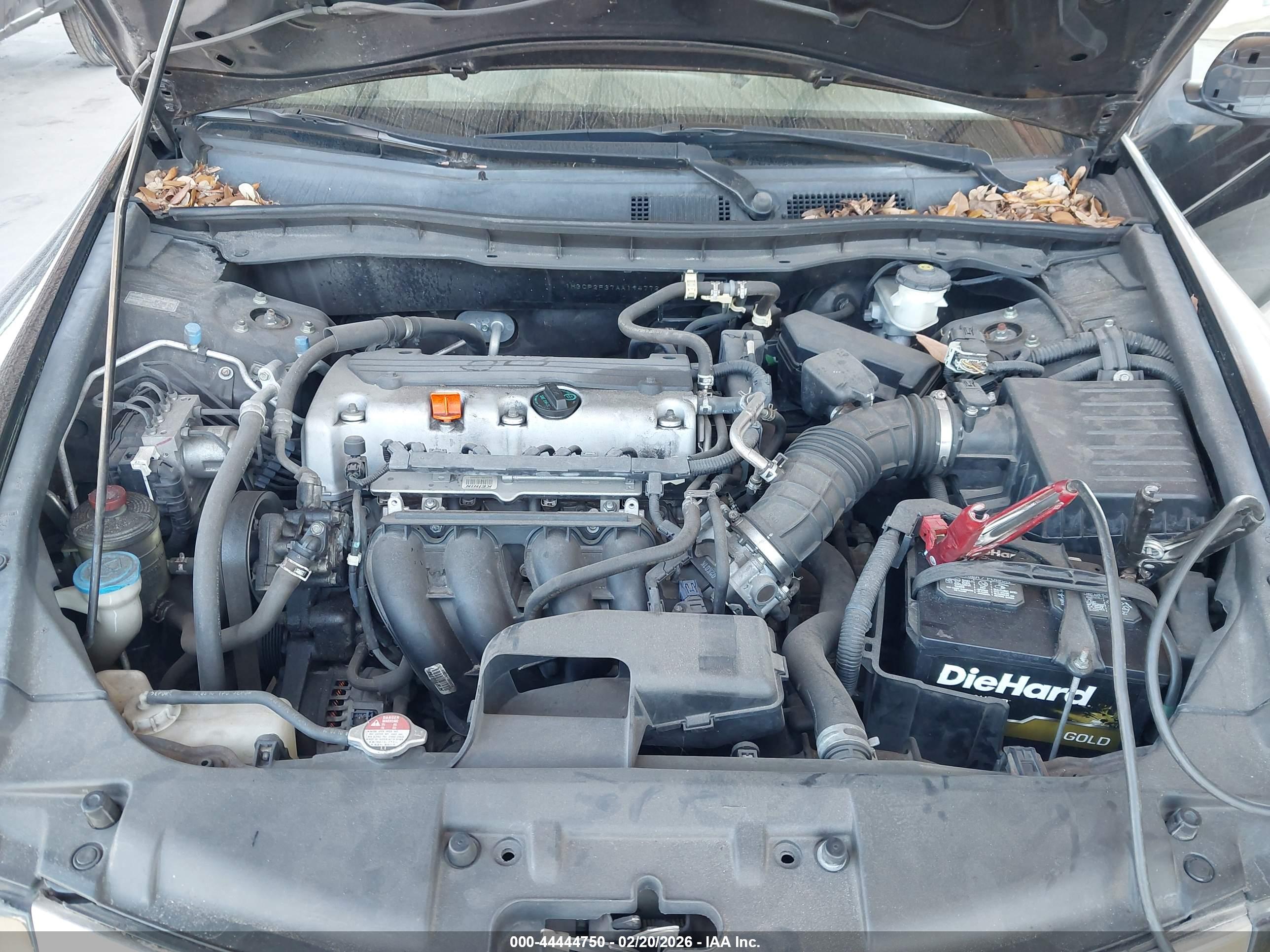HONDA ACCORD image 10