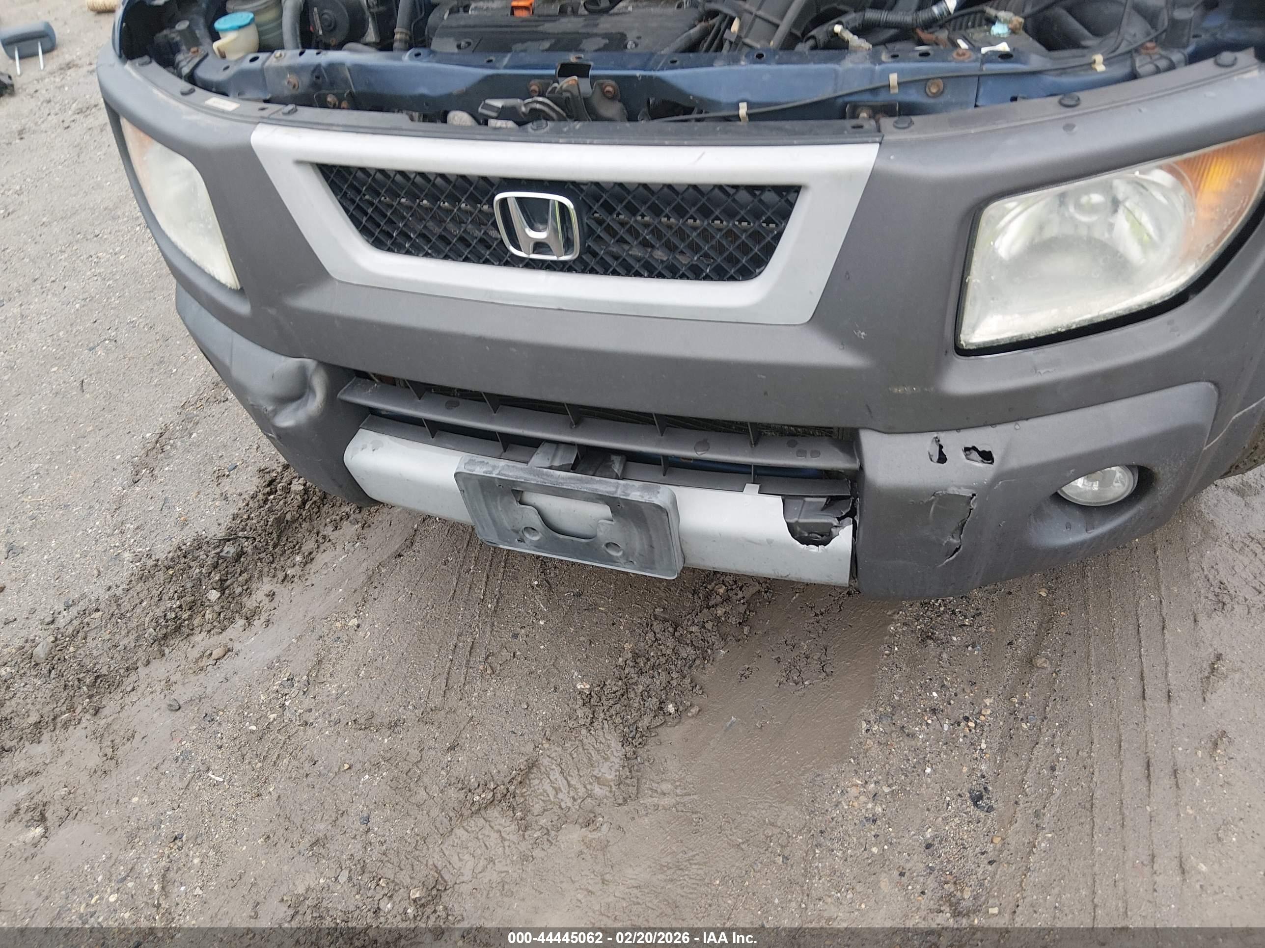 HONDA ELEMENT image 6