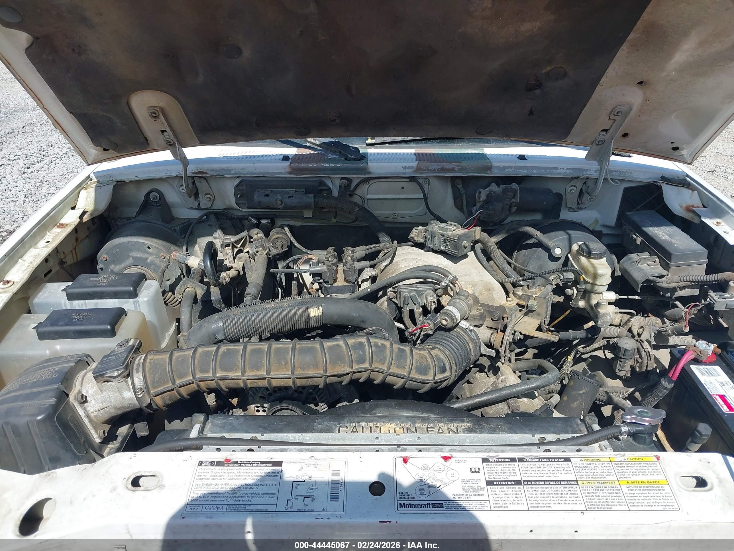 FORD RANGER image 10