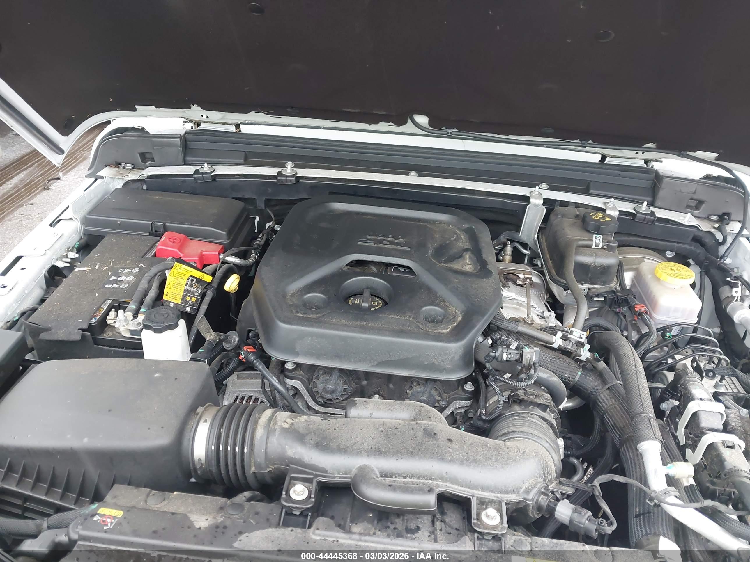 JEEP WRANGLER image 10