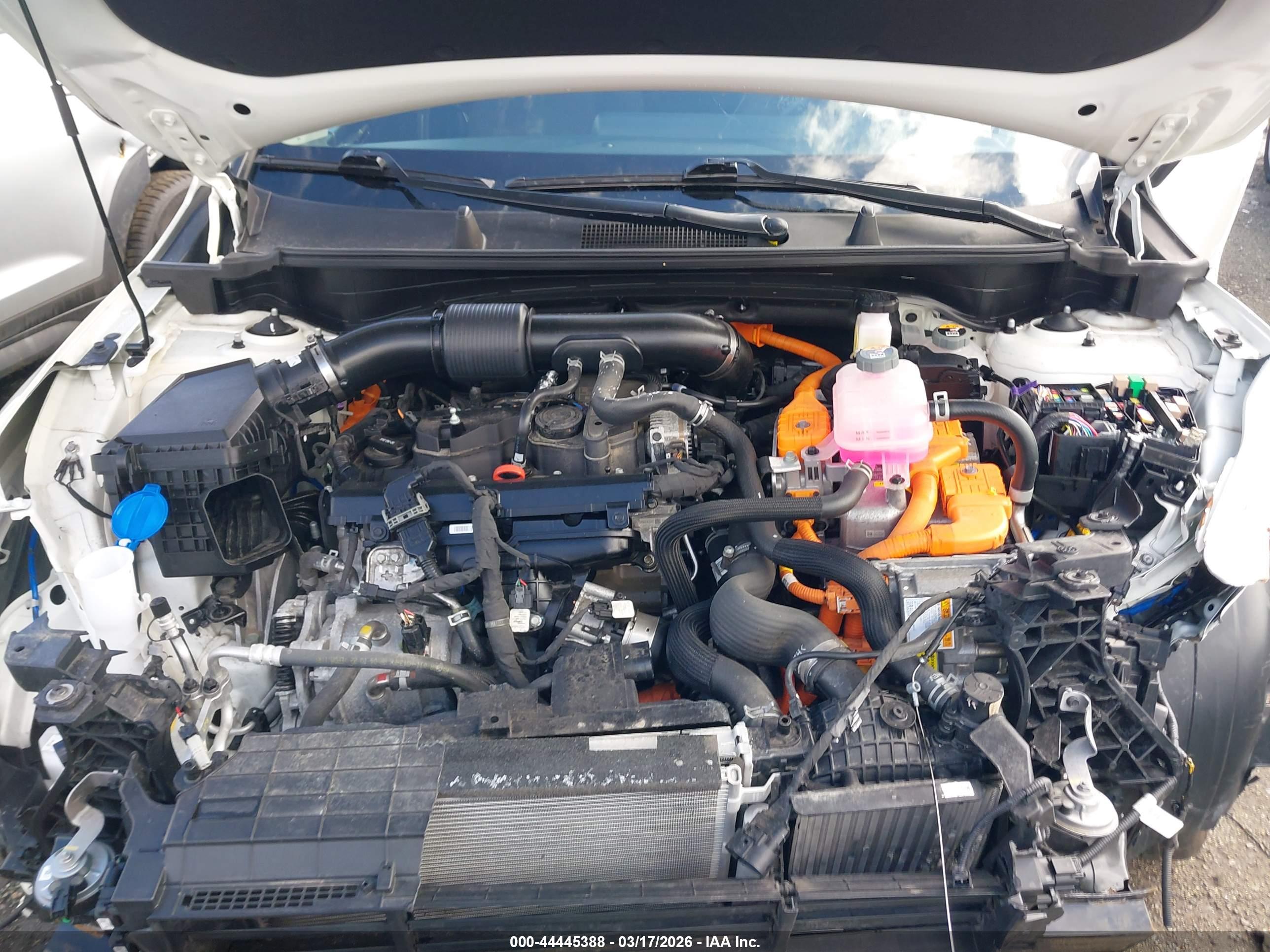KIA SPORTAGE image 10