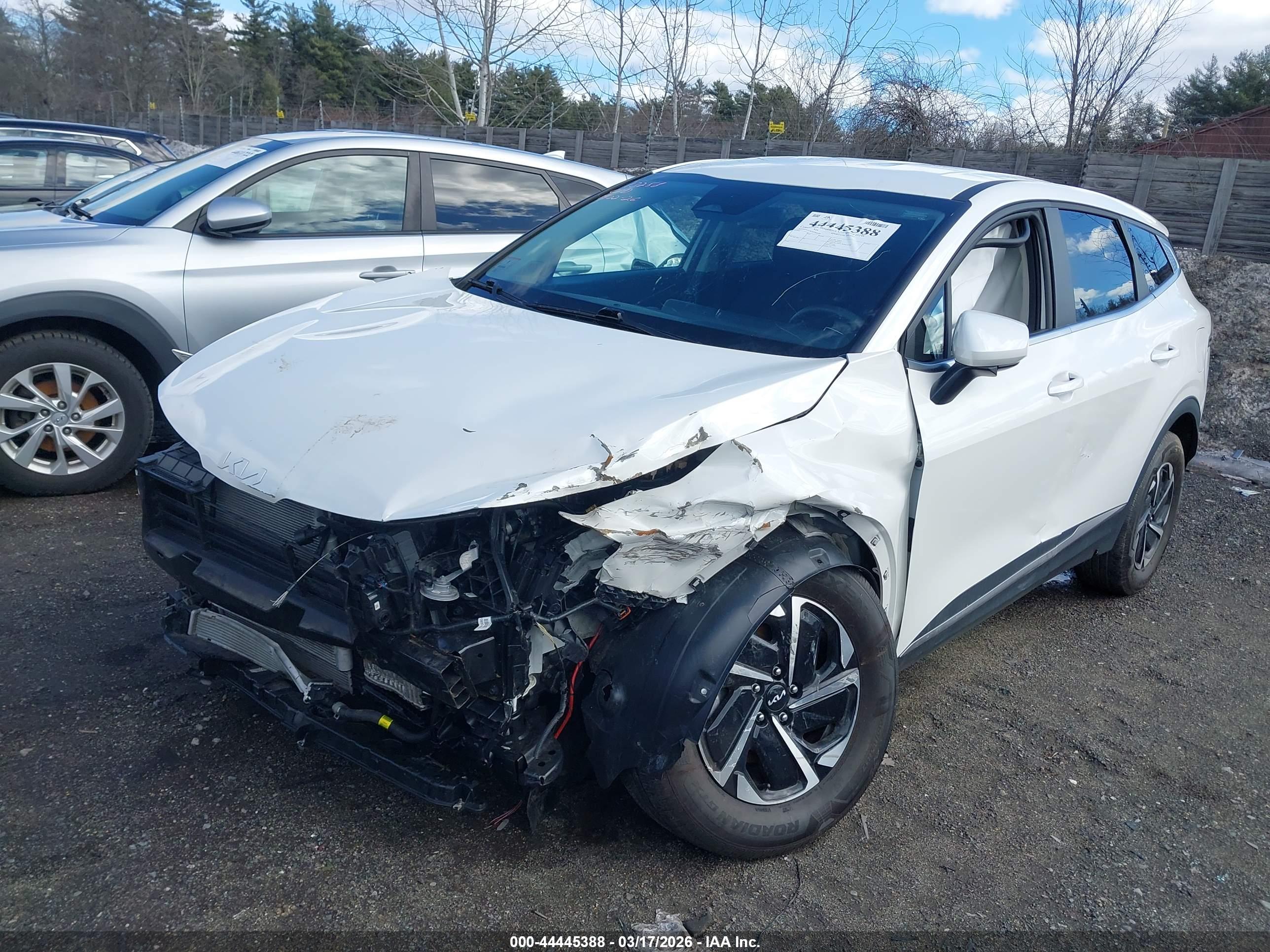 KIA SPORTAGE image 2