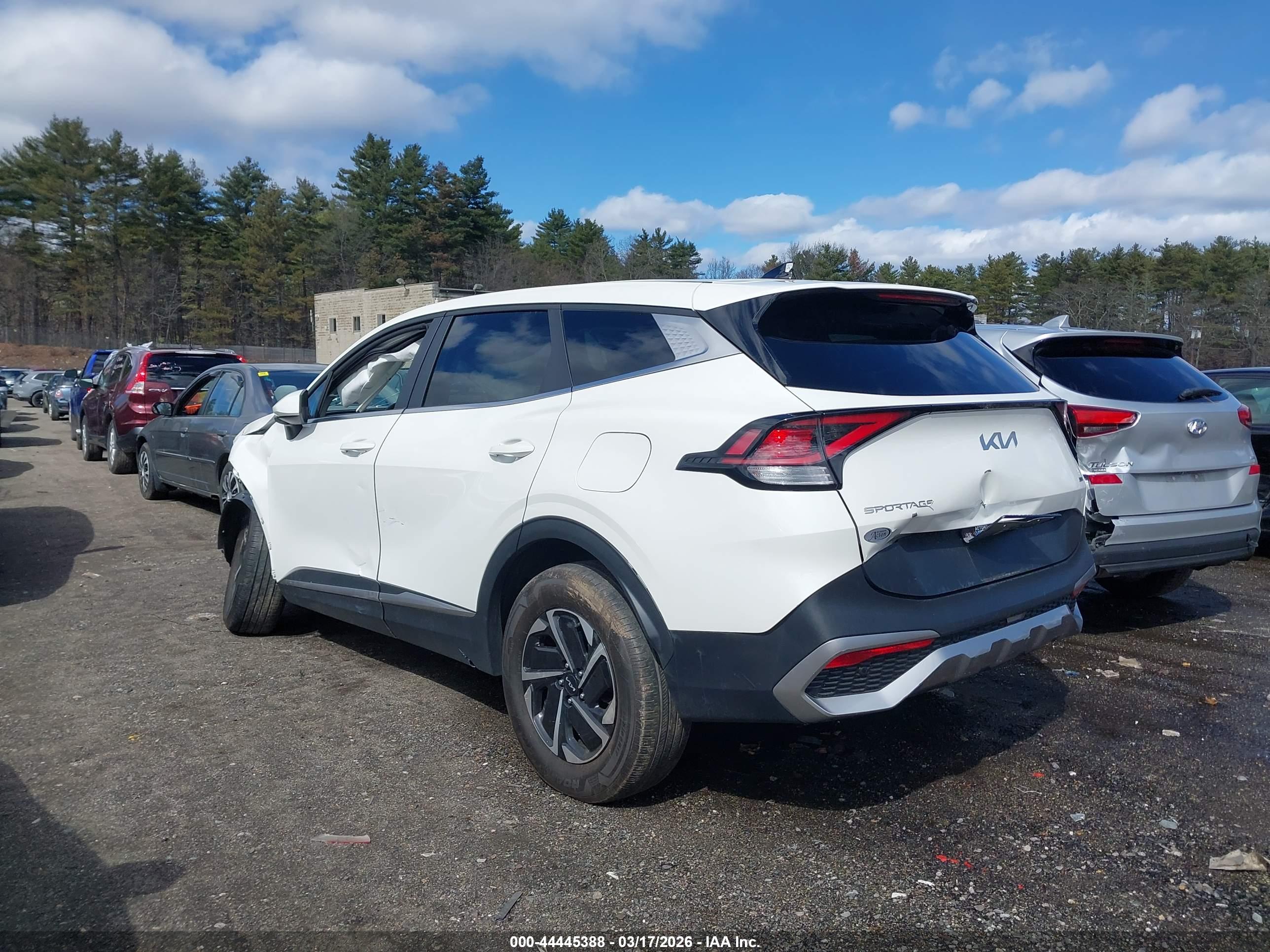 KIA SPORTAGE image 3