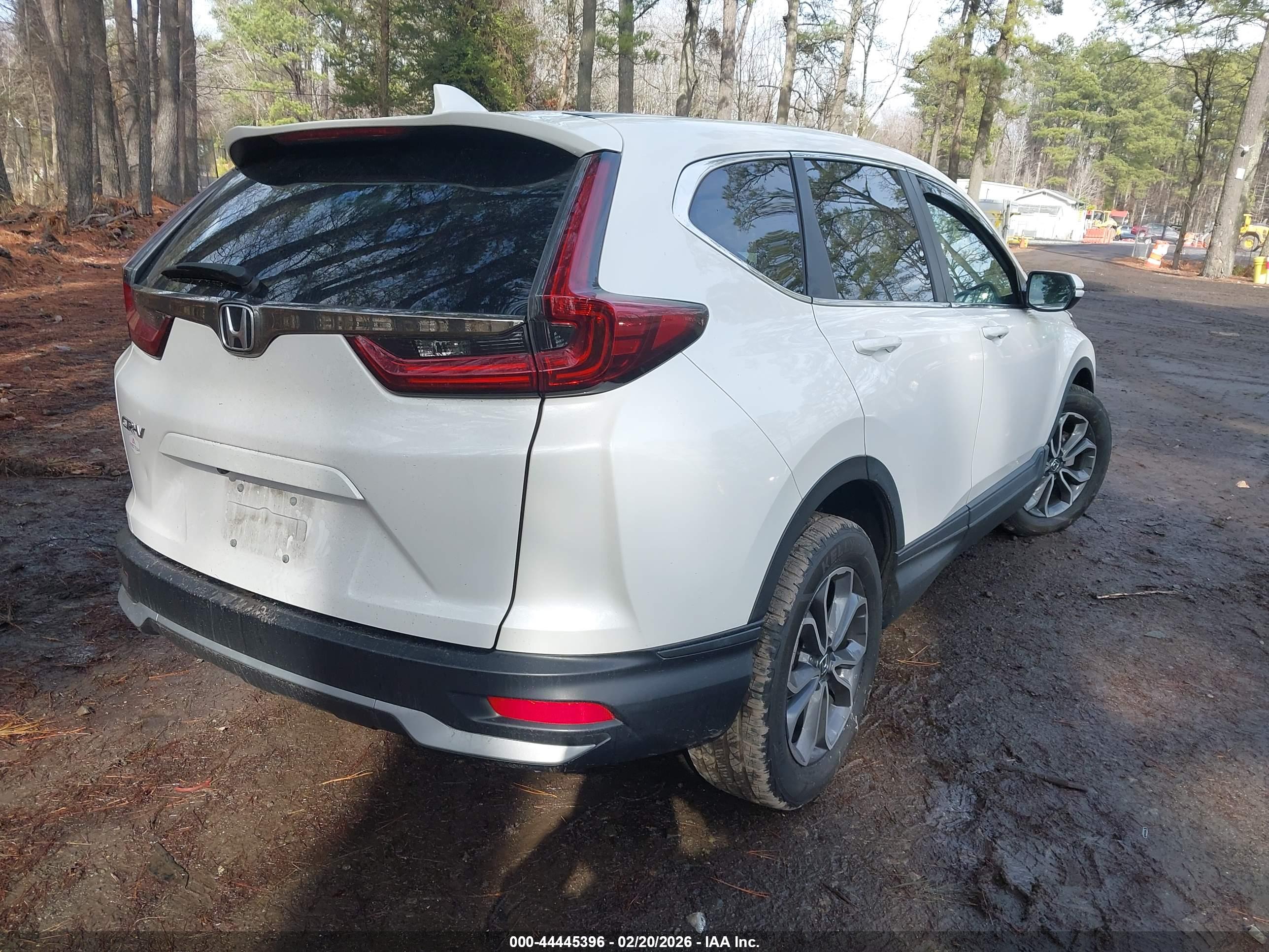 HONDA CR-V image 4