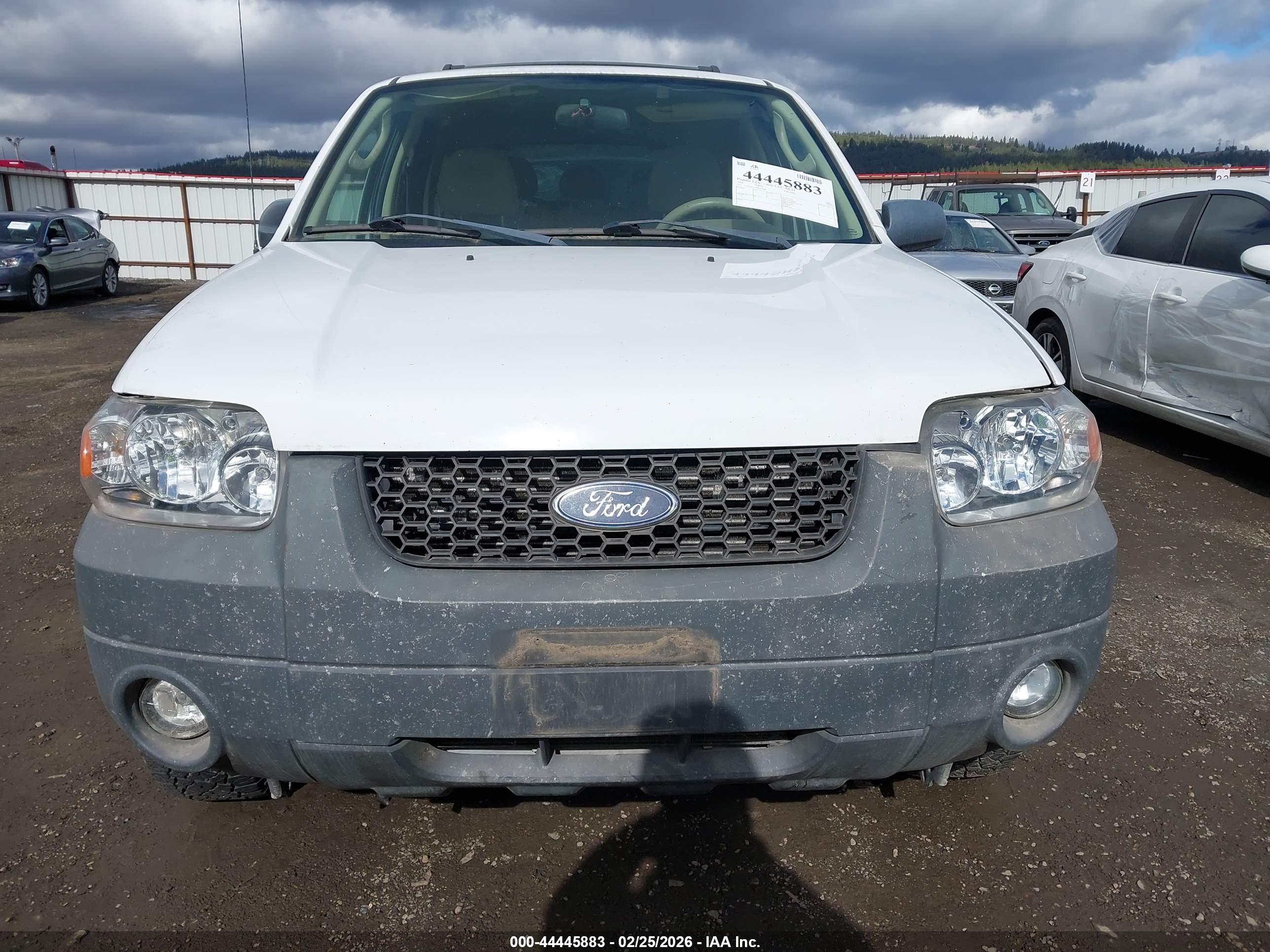 FORD ESCAPE image 6