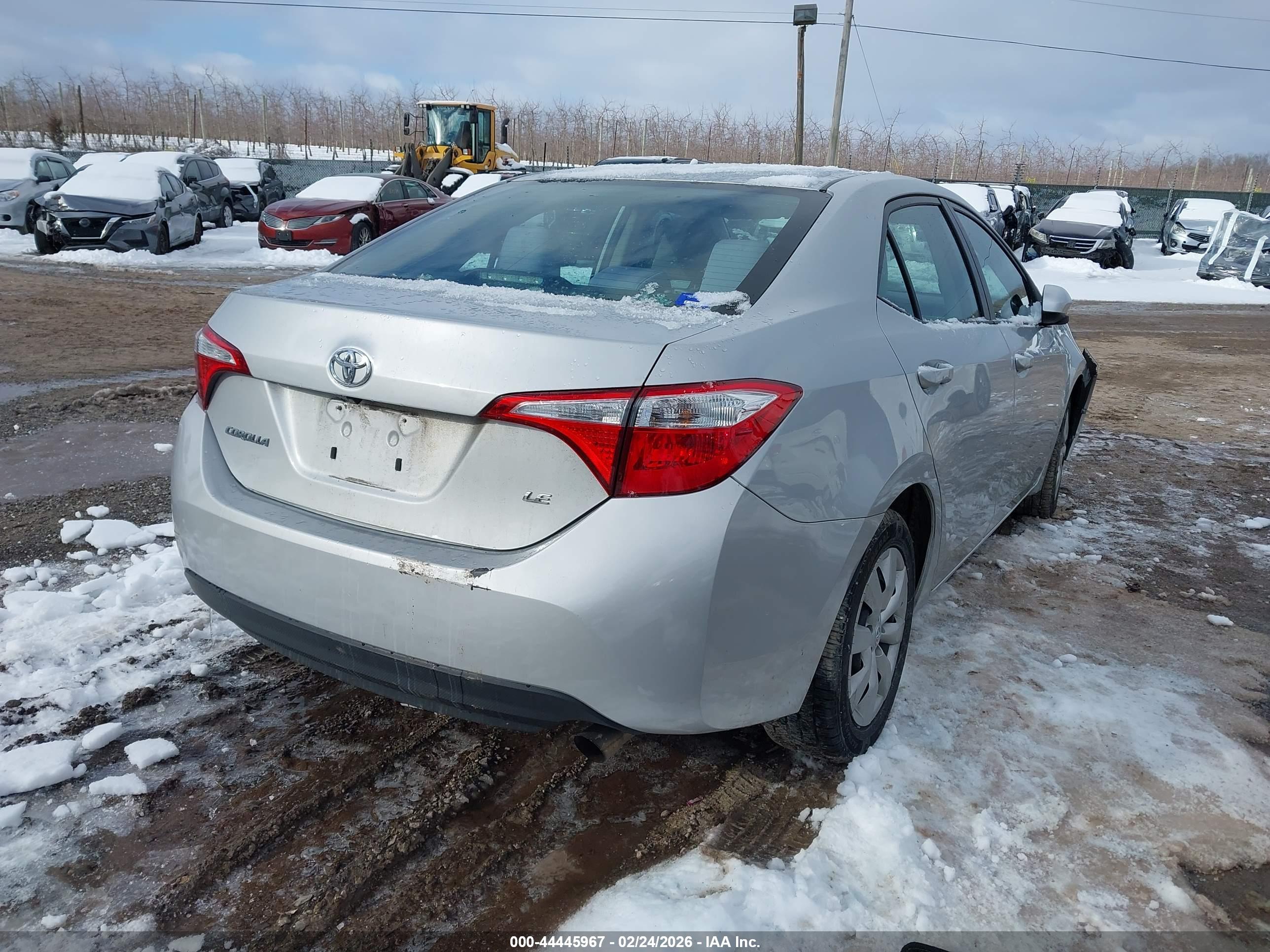 TOYOTA COROLLA image 4