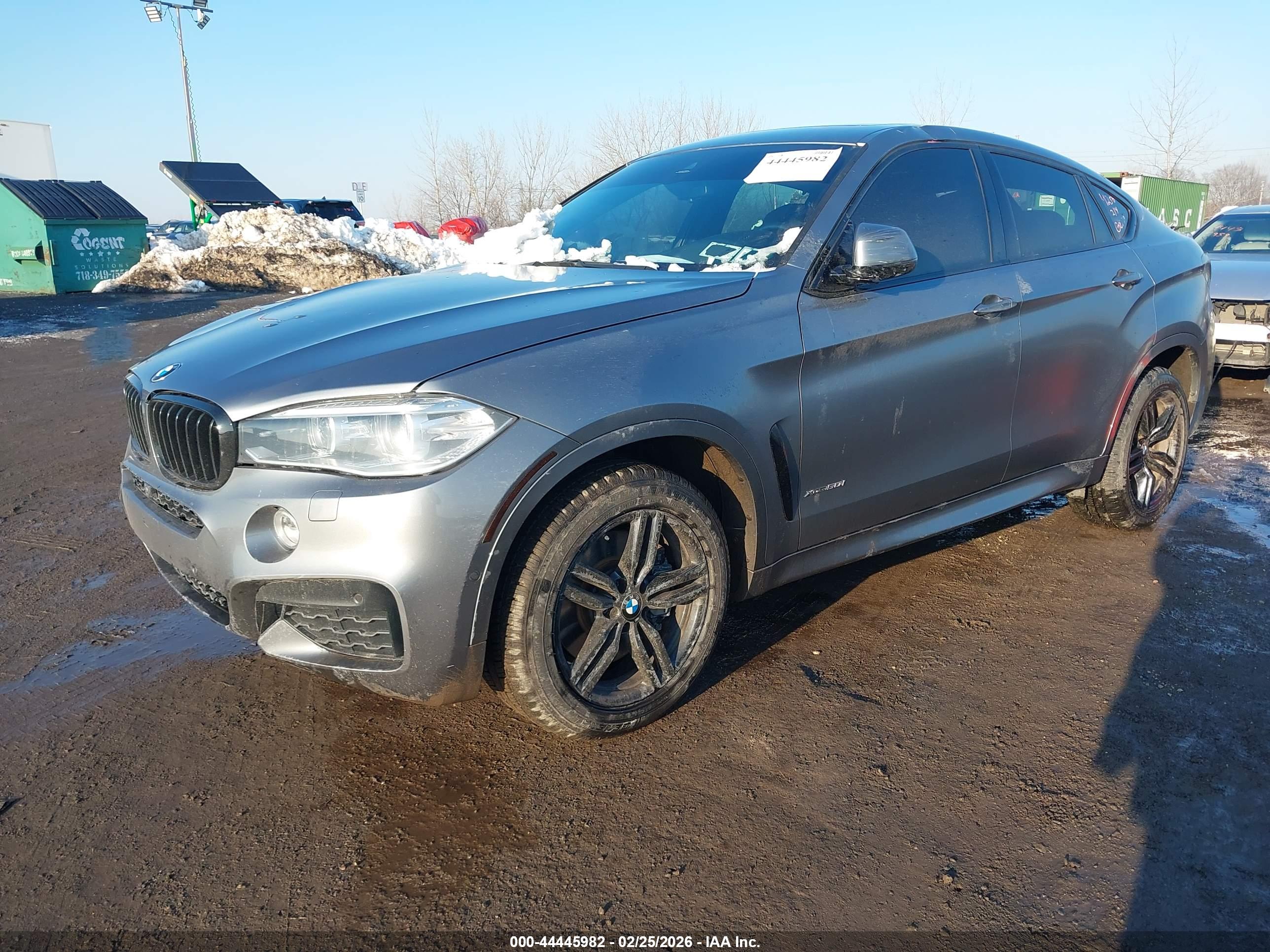 BMW X6 image 2