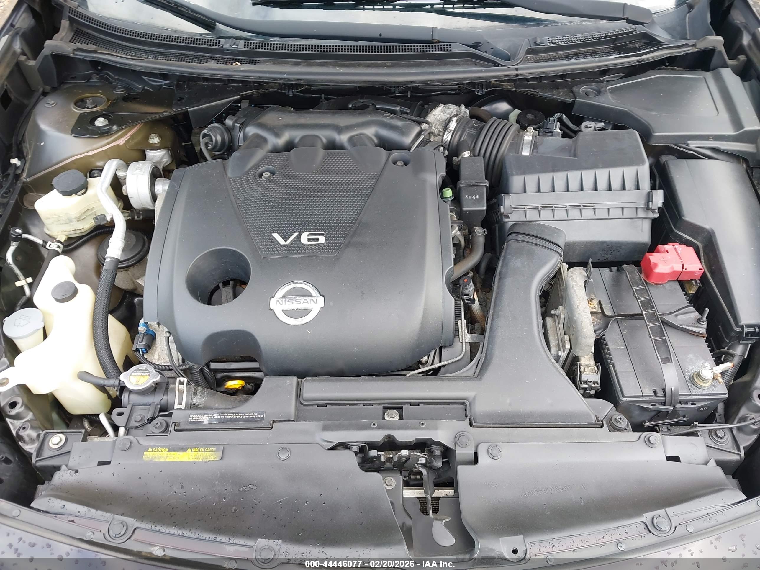 NISSAN MAXIMA image 10