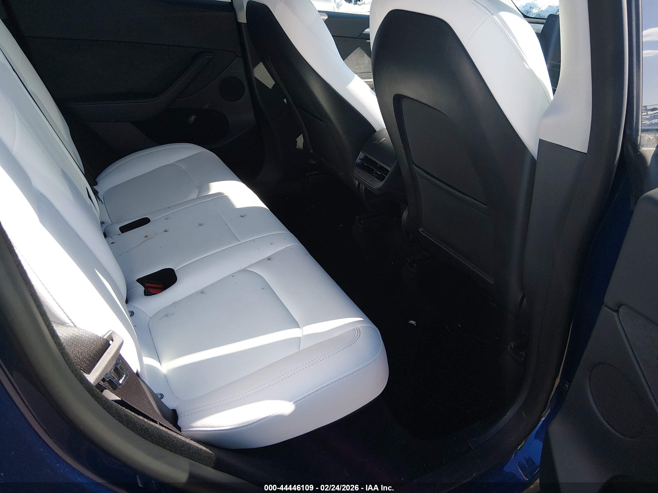 TESLA MODEL image 8