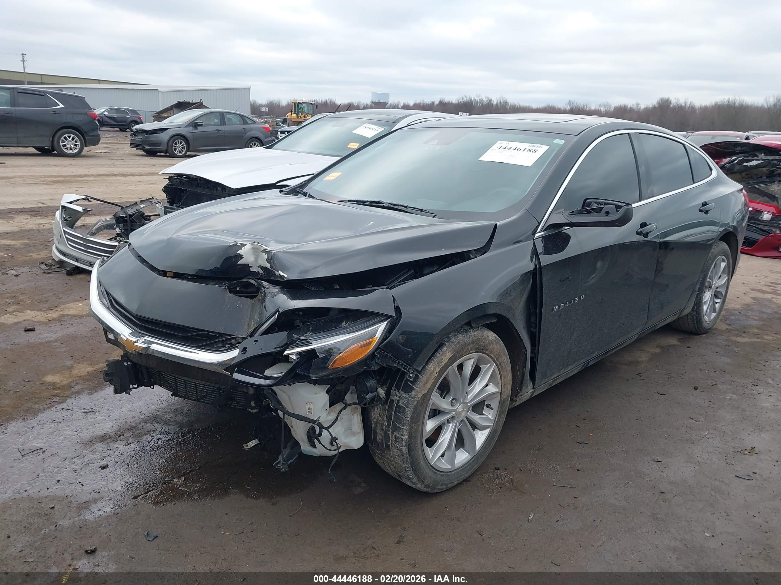 CHEVROLET MALIBU image 2
