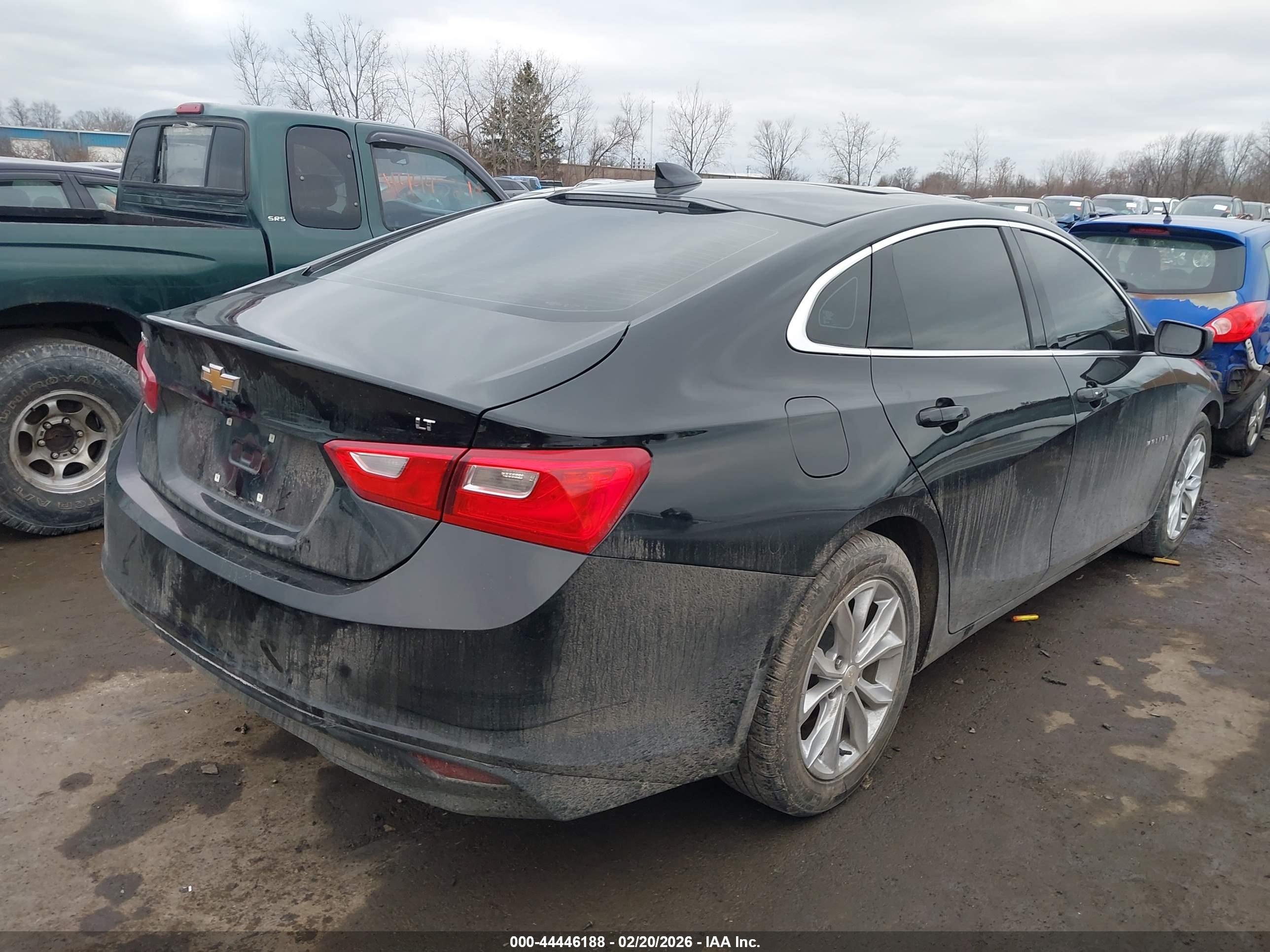 CHEVROLET MALIBU image 4