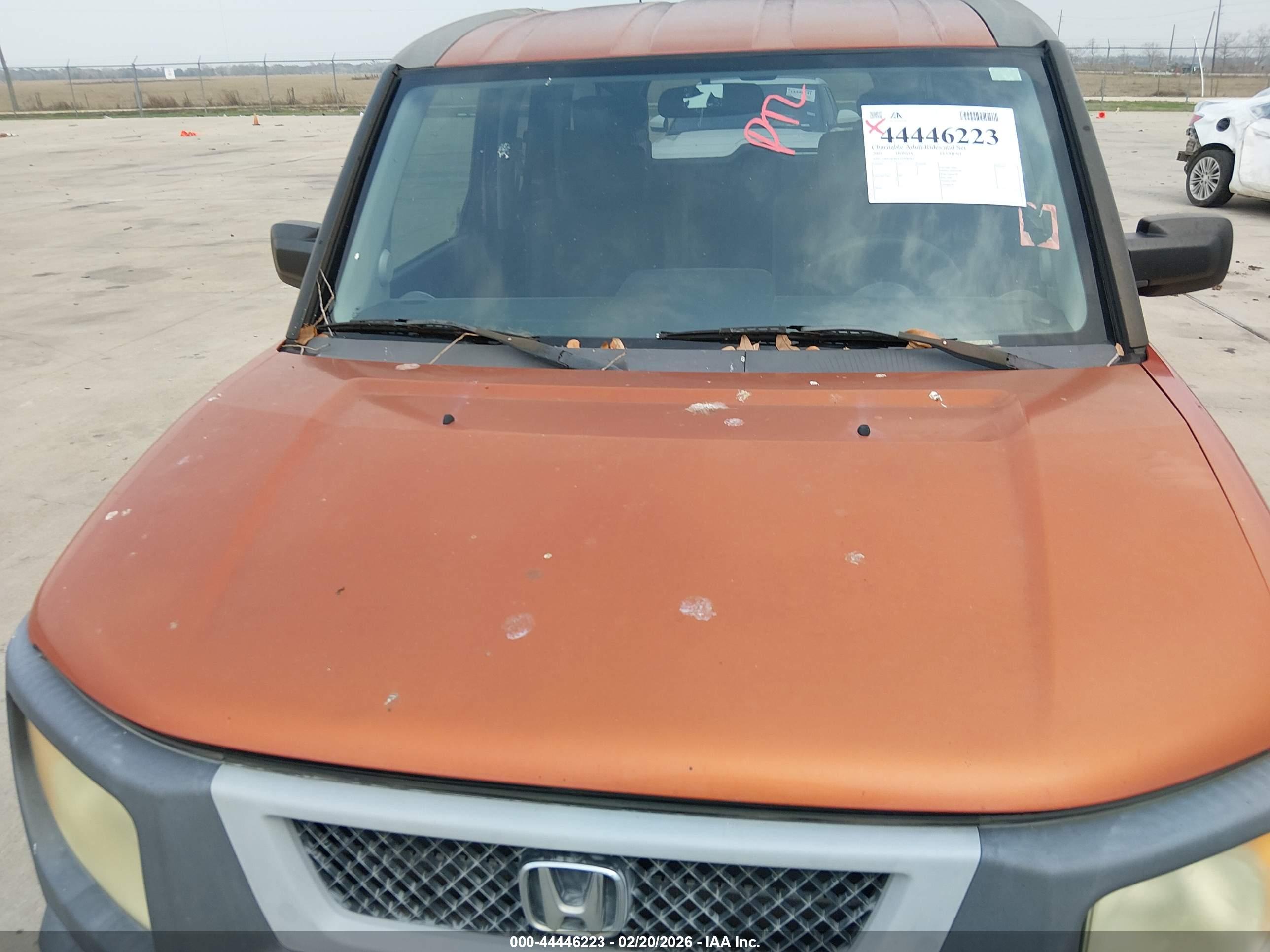 HONDA ELEMENT image 6