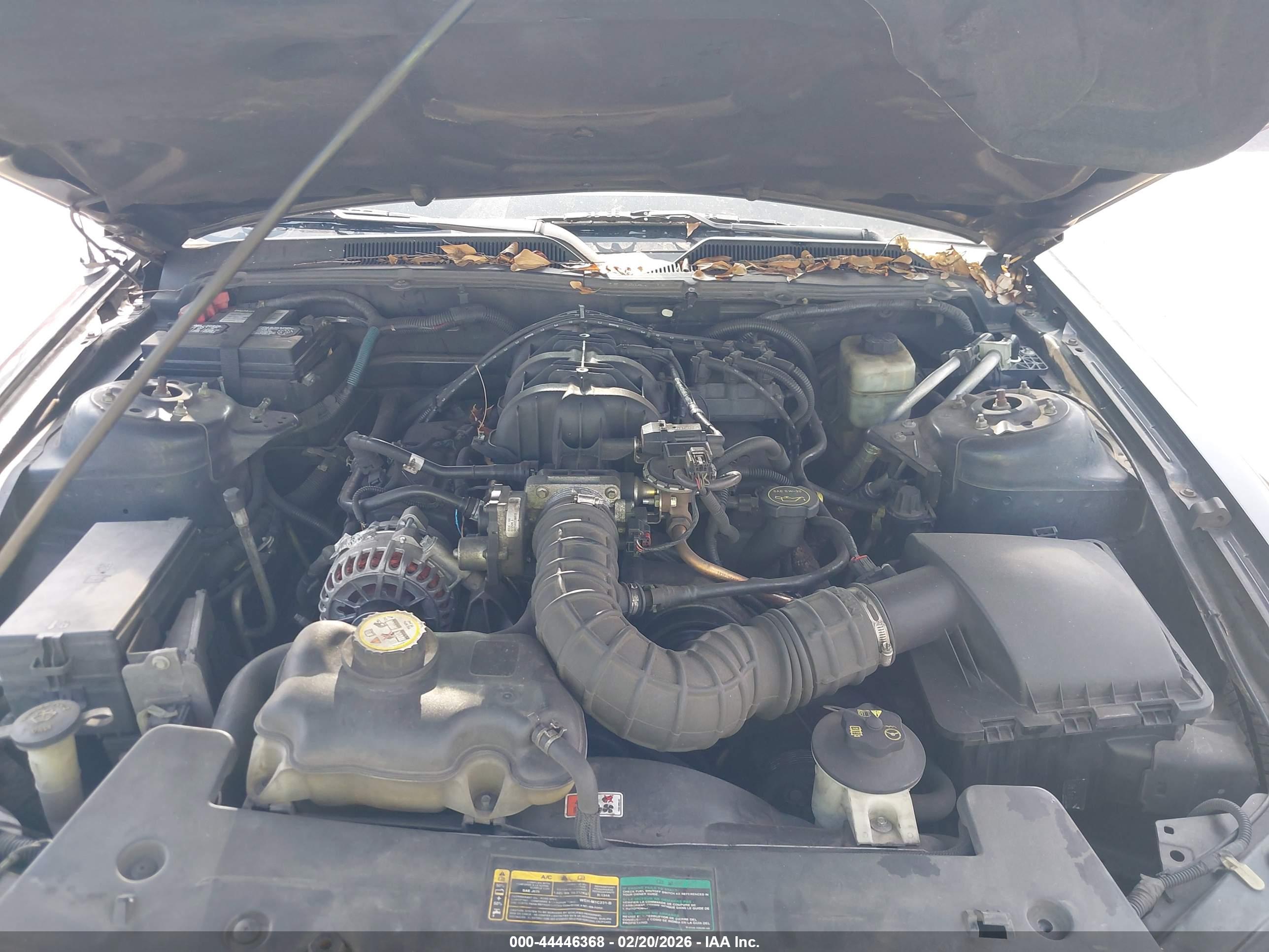 FORD MUSTANG image 10