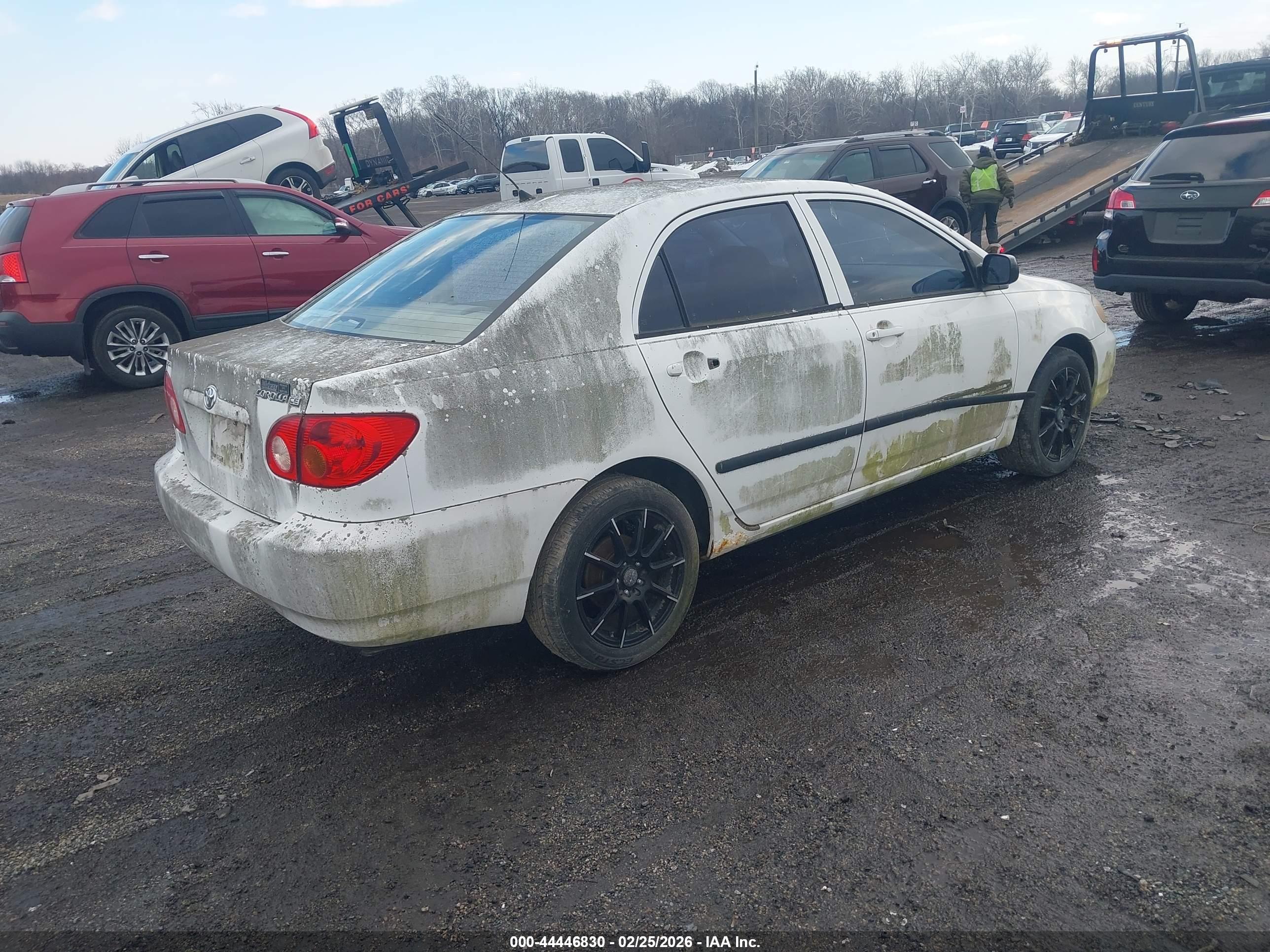 TOYOTA COROLLA image 4