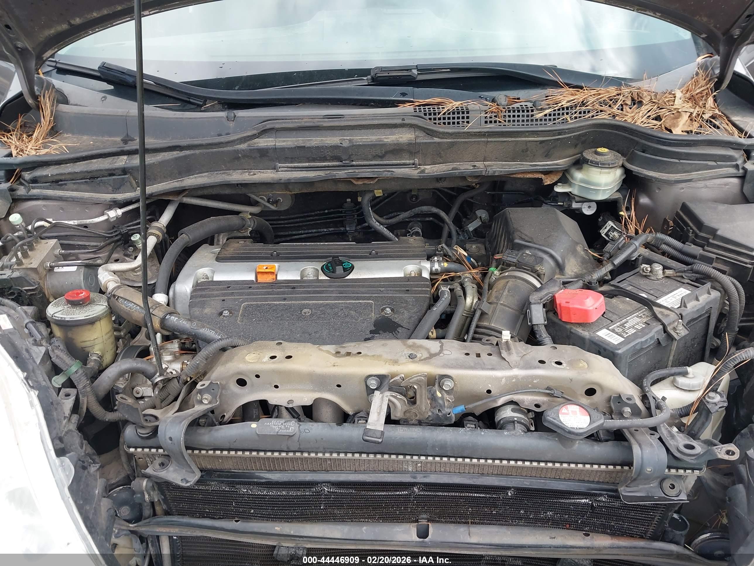 HONDA CR-V image 10