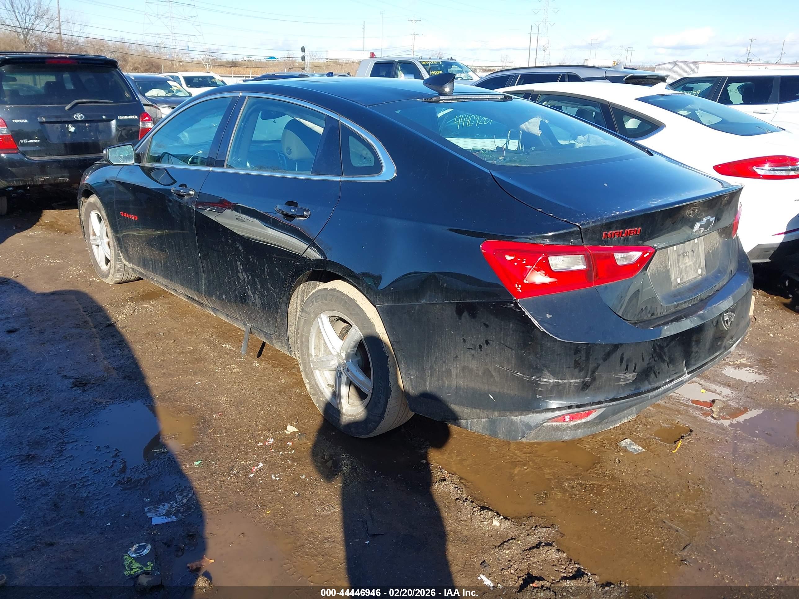 CHEVROLET MALIBU image 3