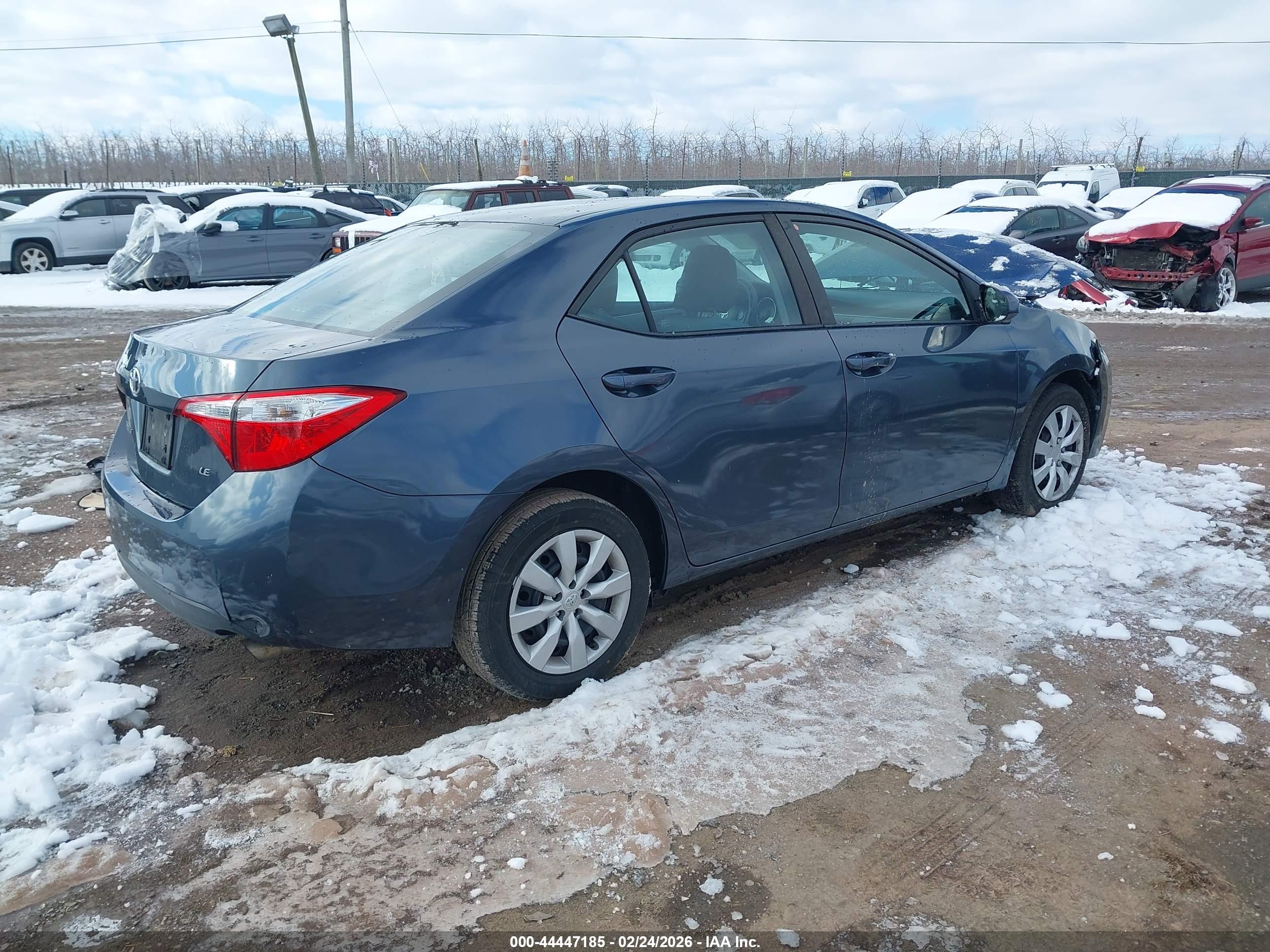 TOYOTA COROLLA image 4