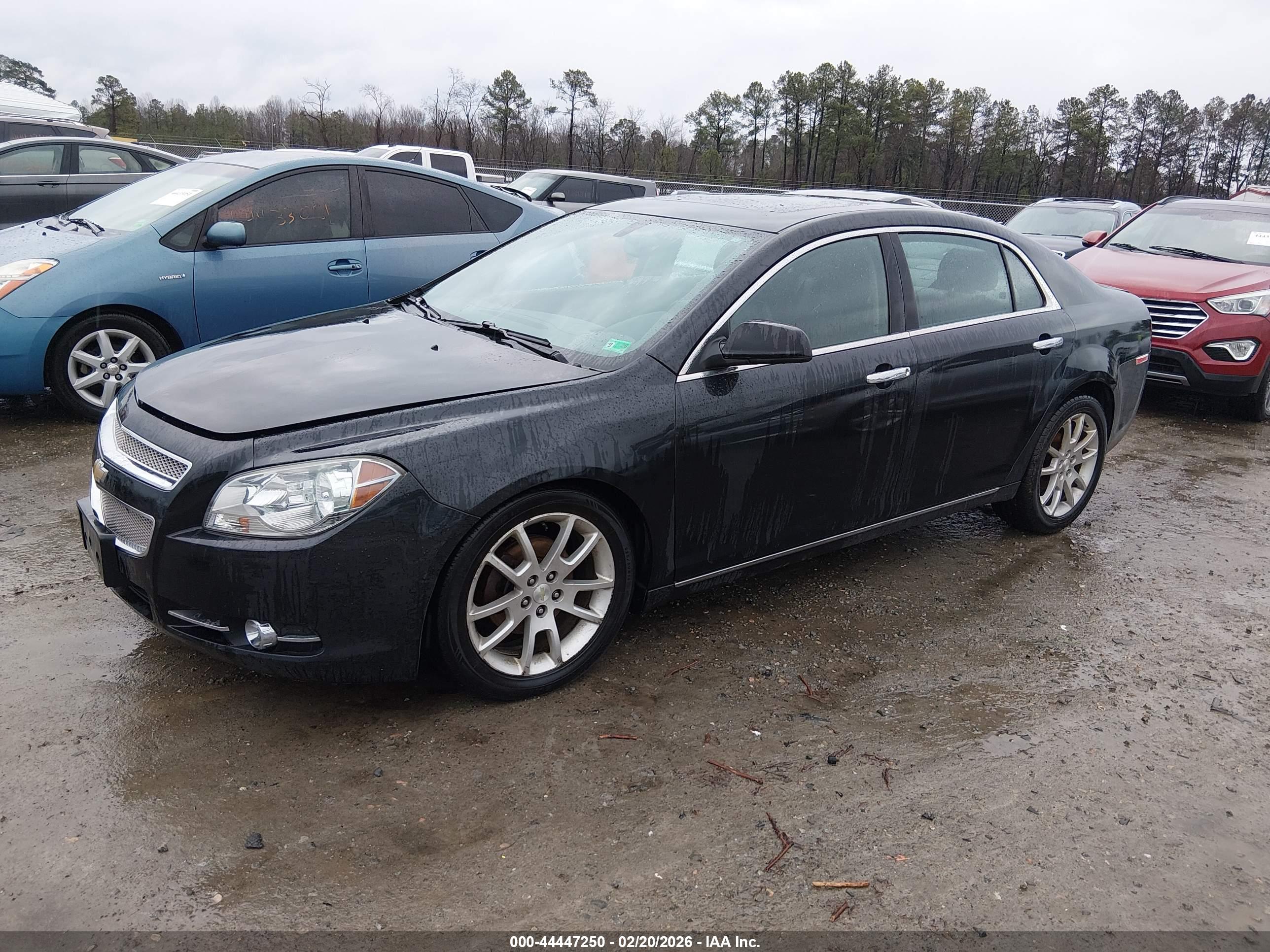 CHEVROLET MALIBU image 2