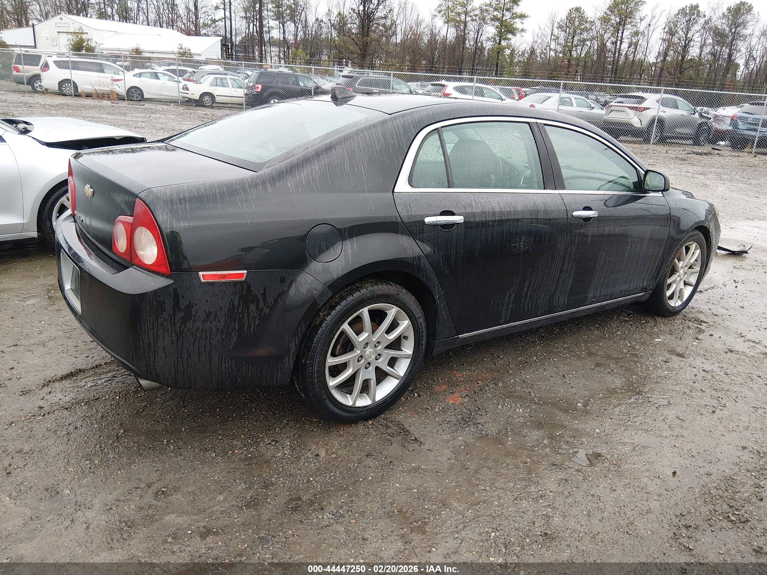 CHEVROLET MALIBU image 4