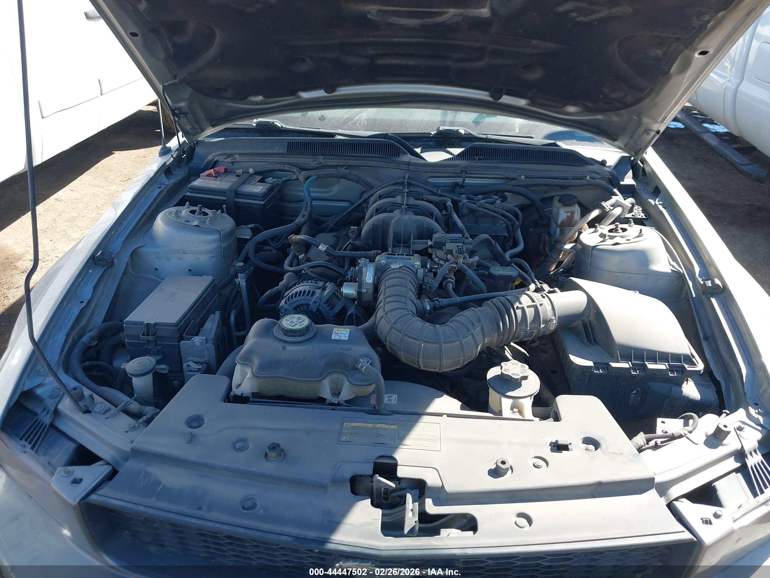 FORD MUSTANG image 10