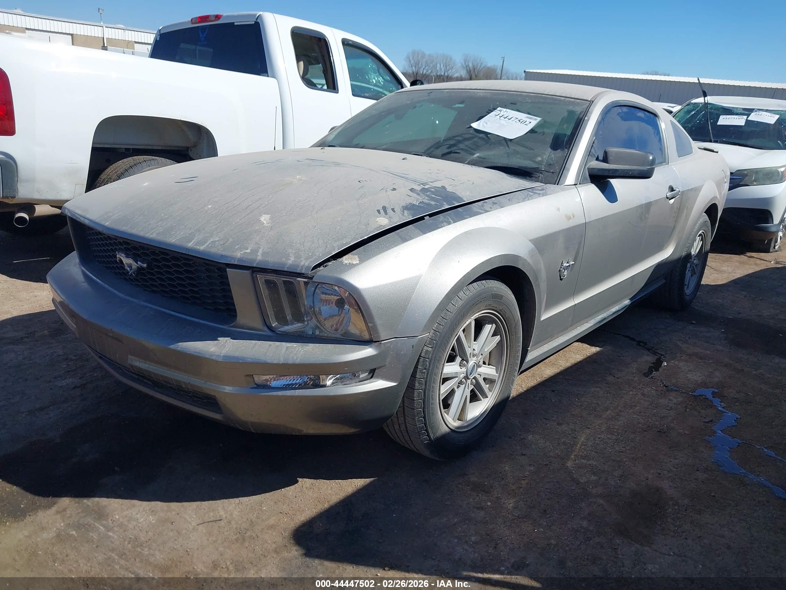 FORD MUSTANG image 2
