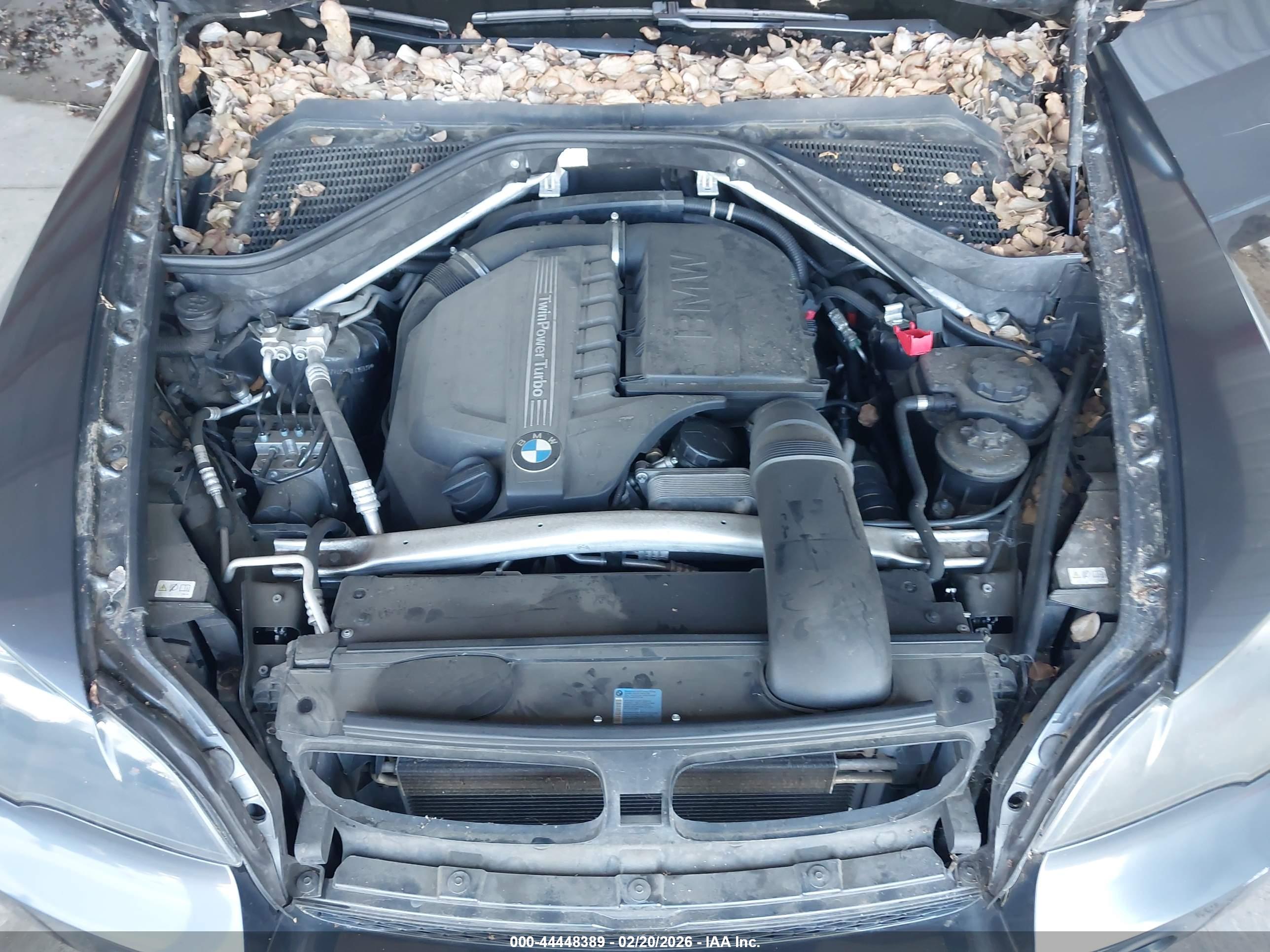 BMW X5 image 10