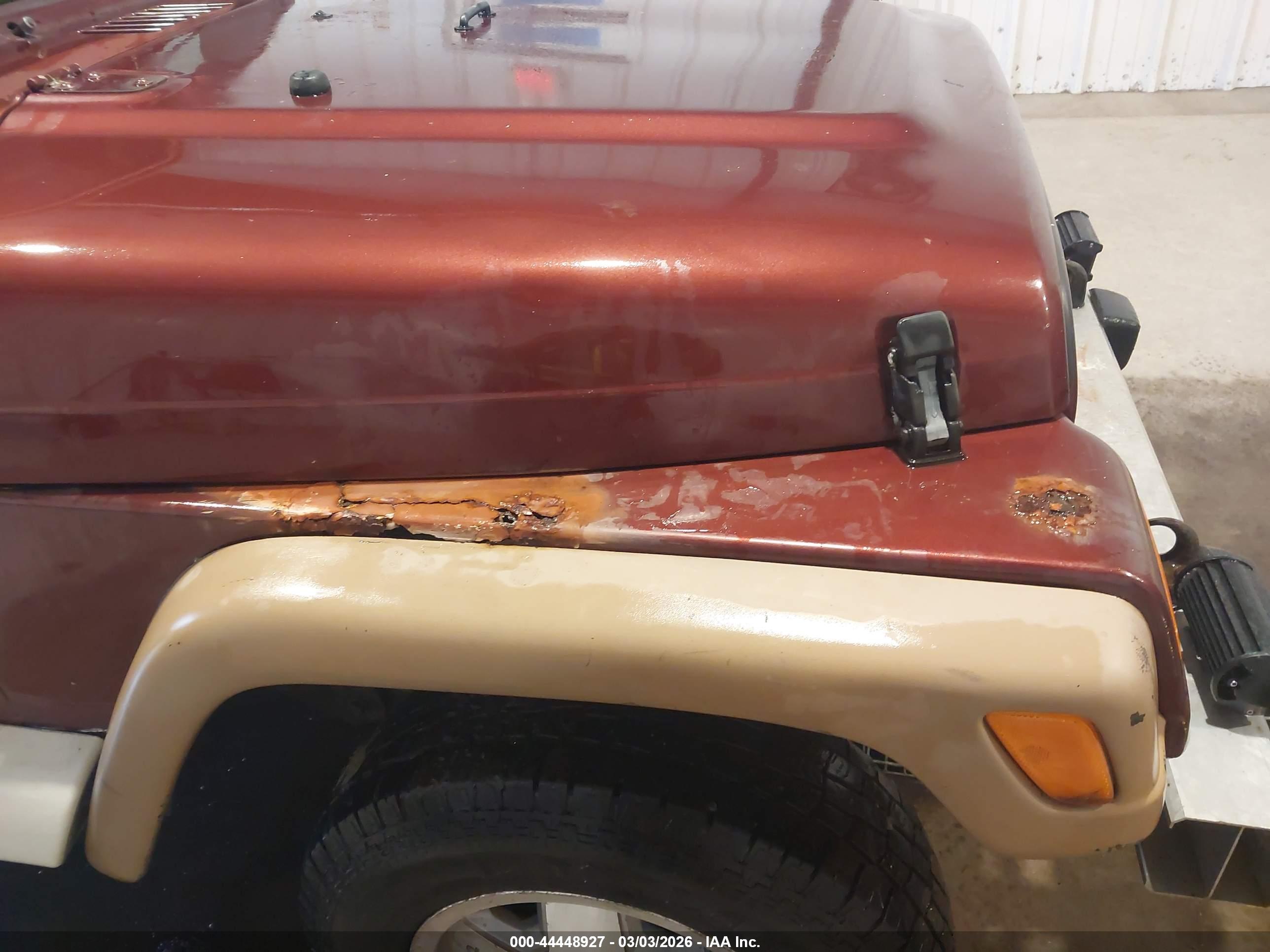 JEEP WRANGLER image 6