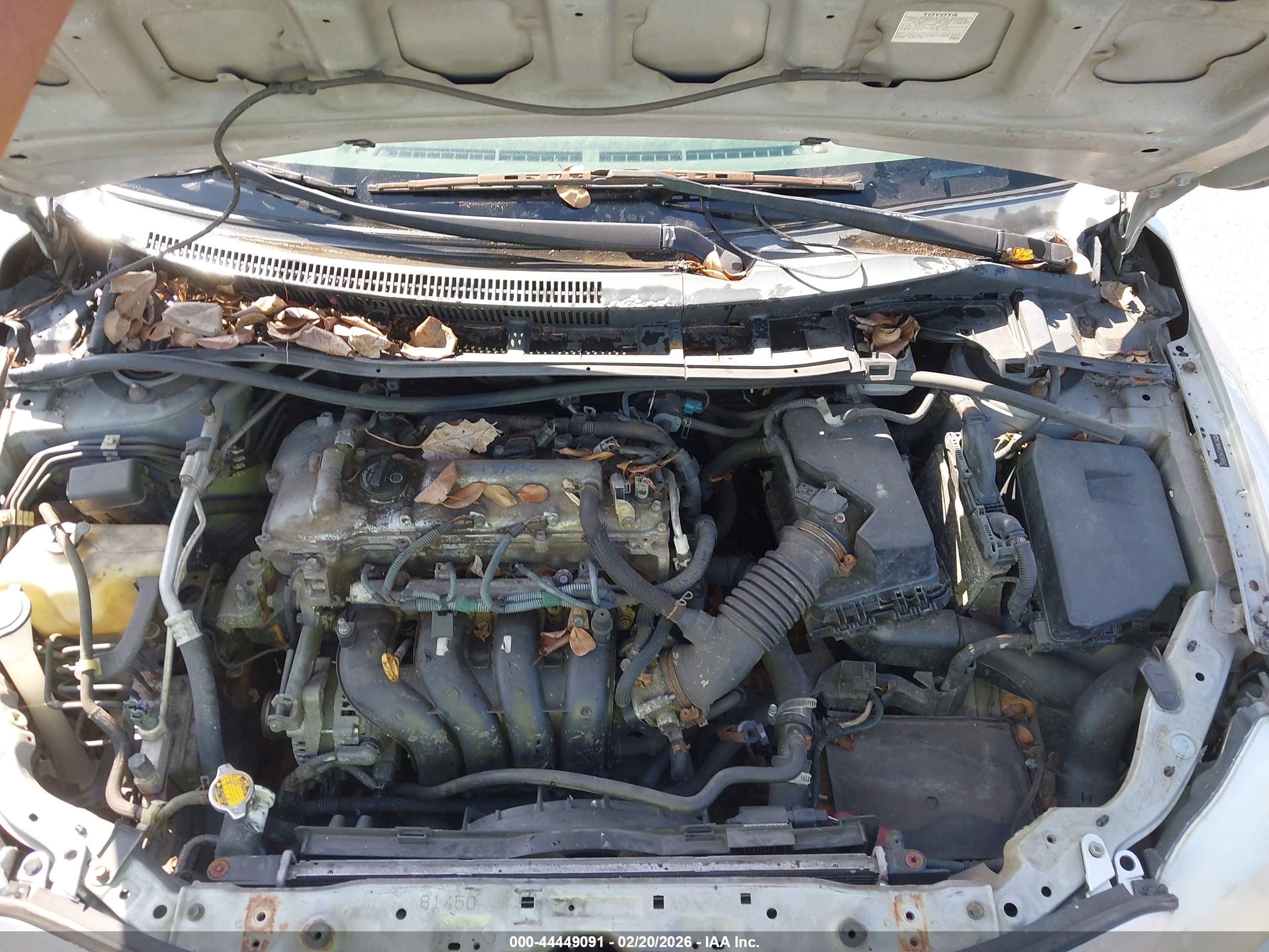 TOYOTA COROLLA image 10