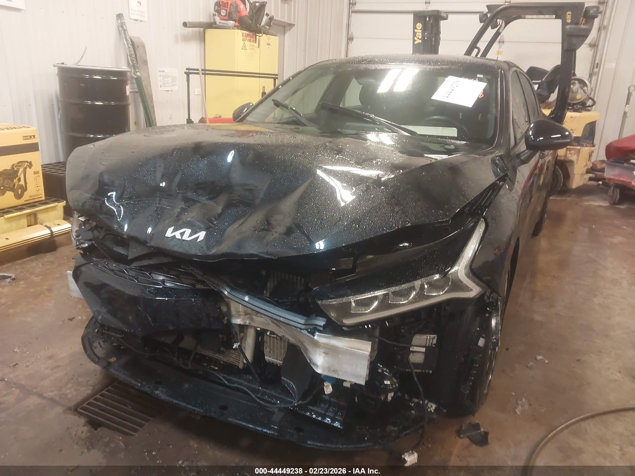 KIA K5 image 6