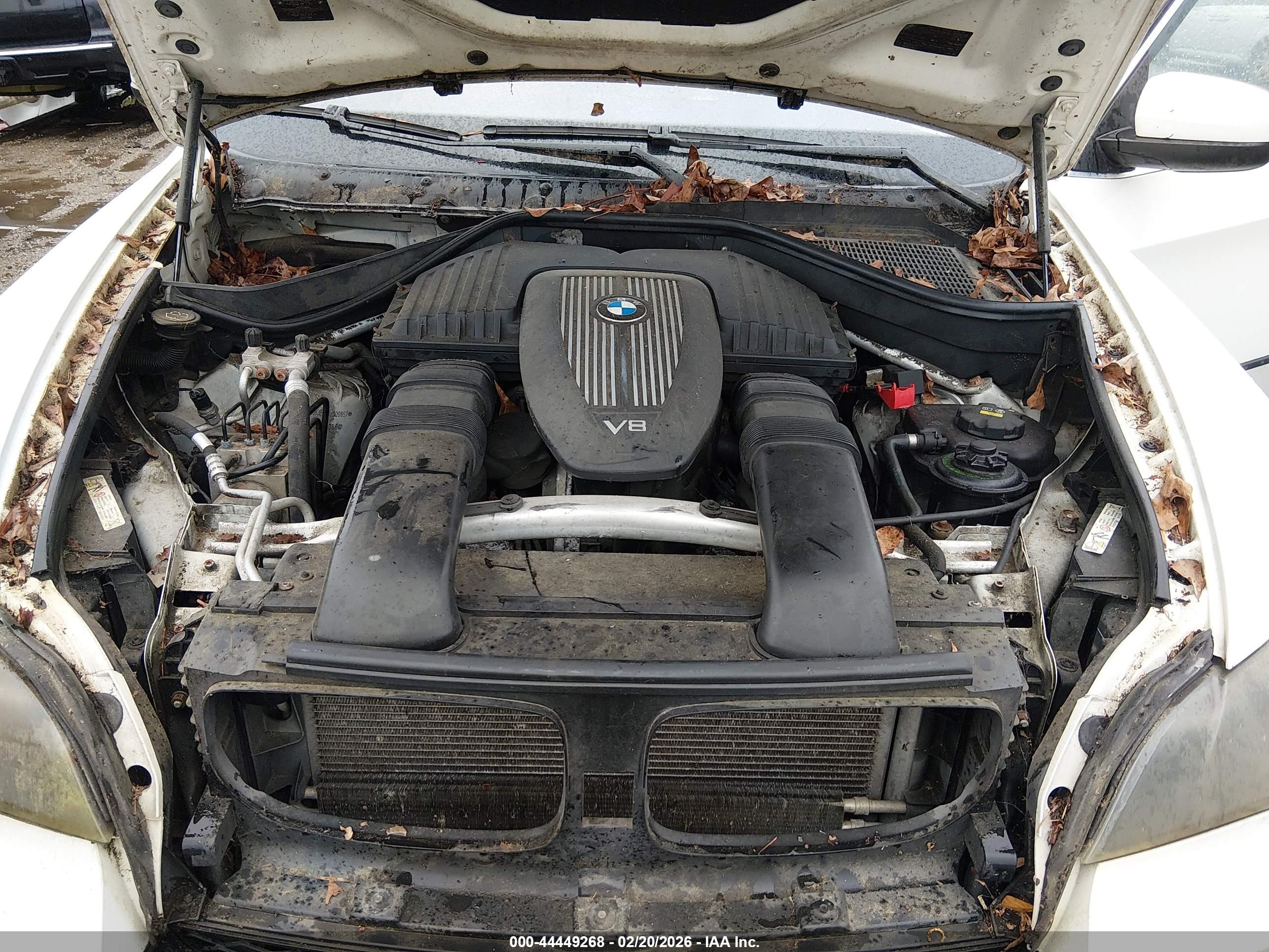BMW X5 image 10