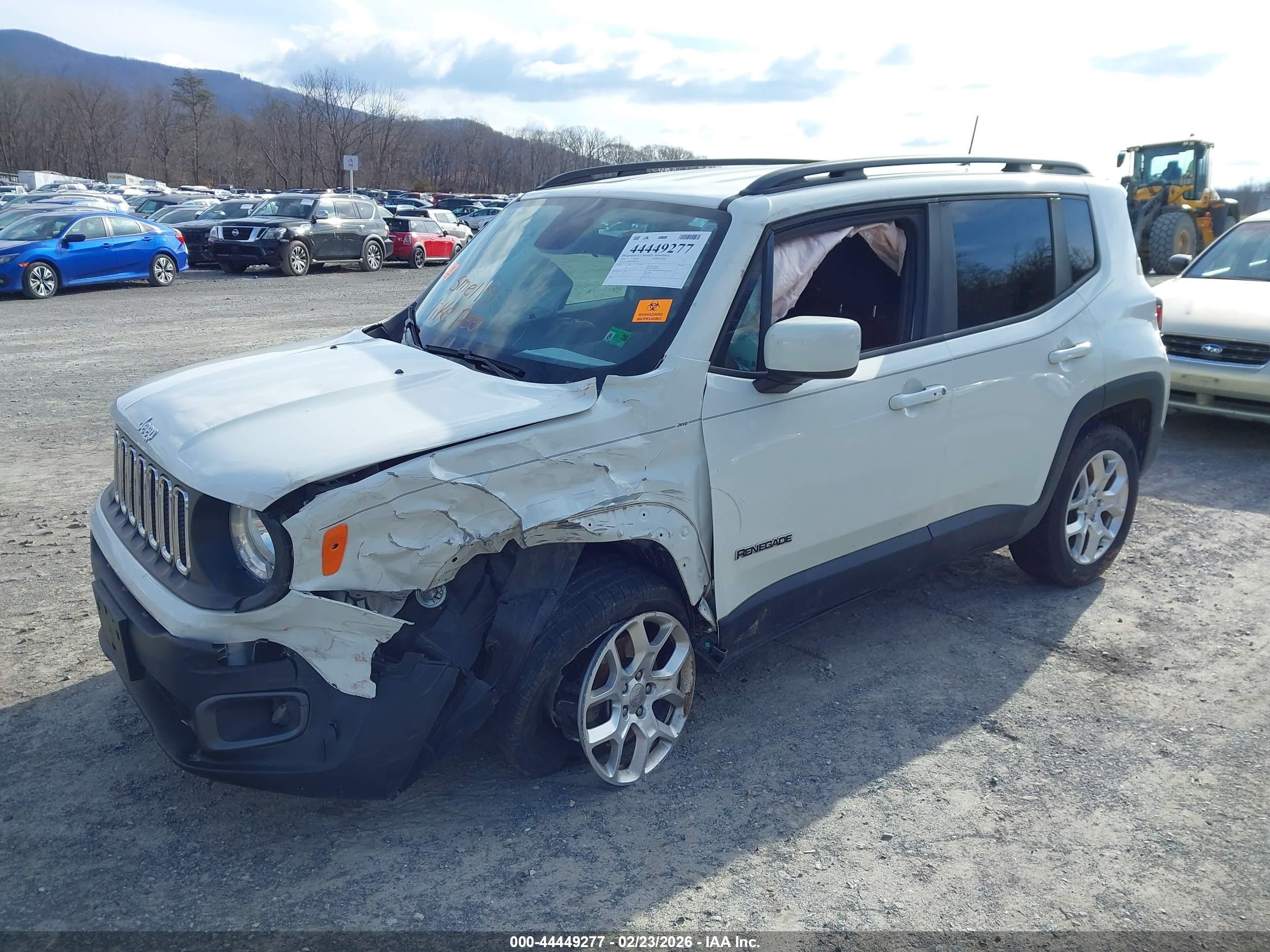 JEEP RENEGADE image 6