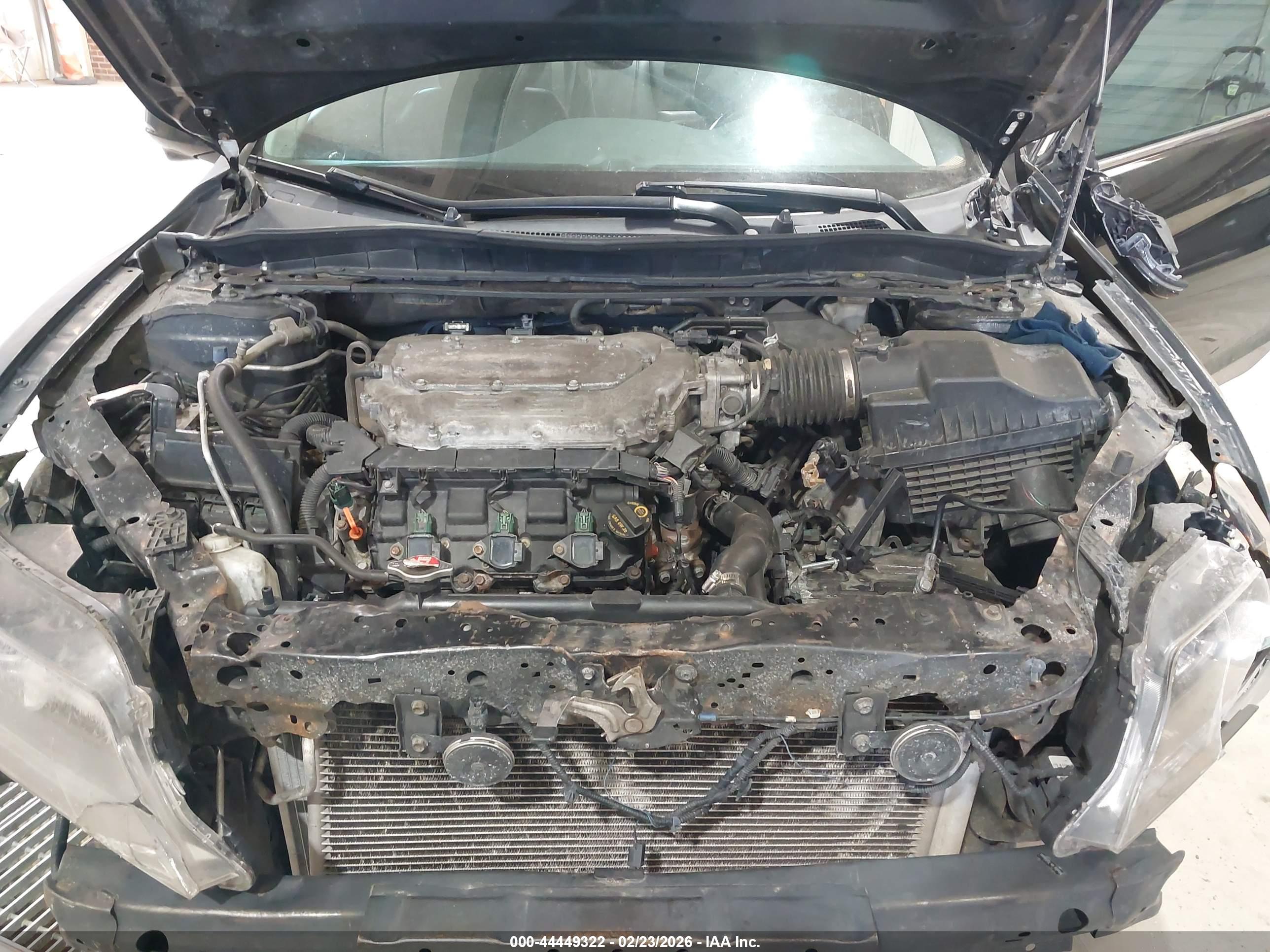 HONDA ACCORD image 10