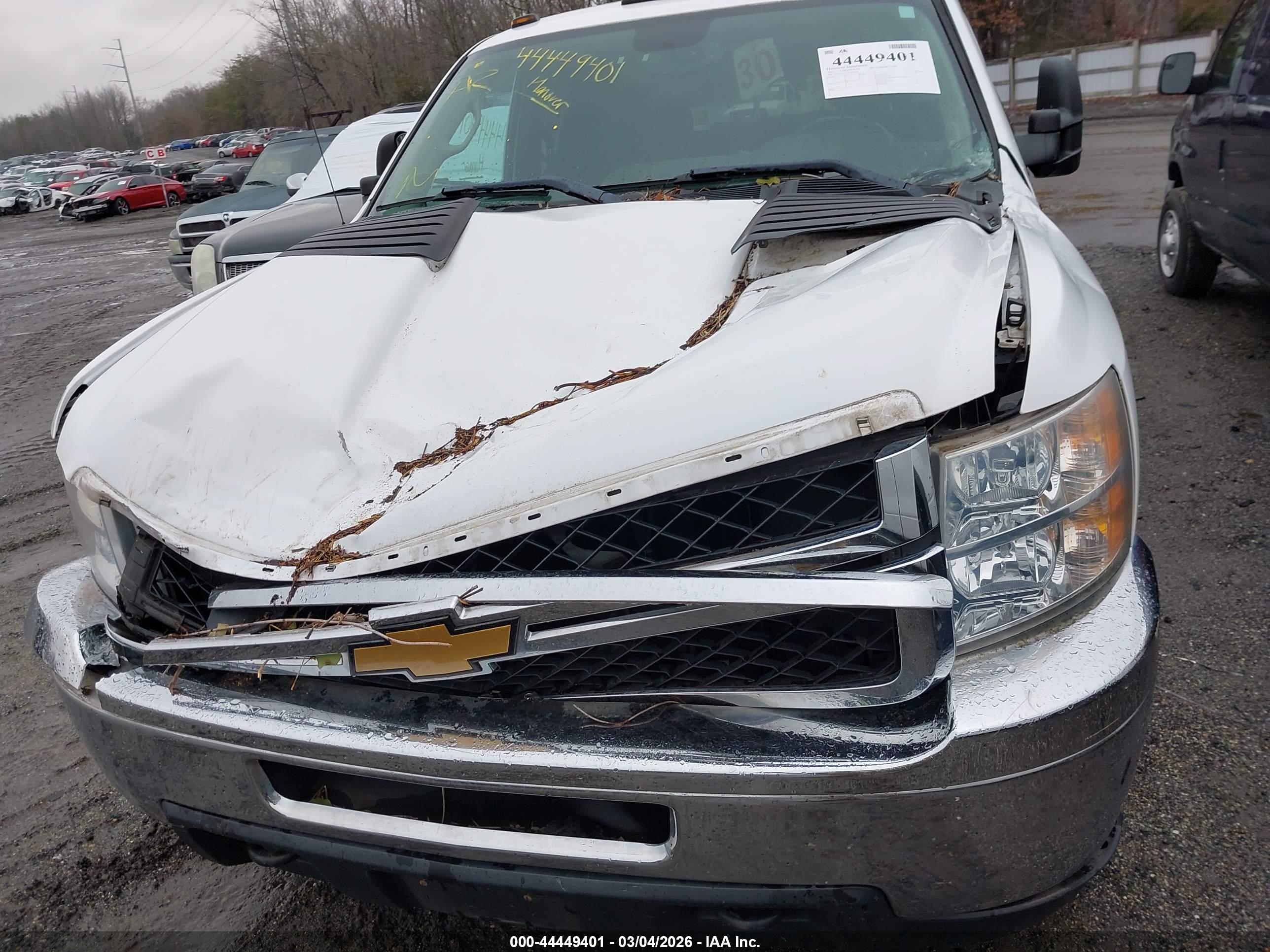 CHEVROLET SILVERADO image 6