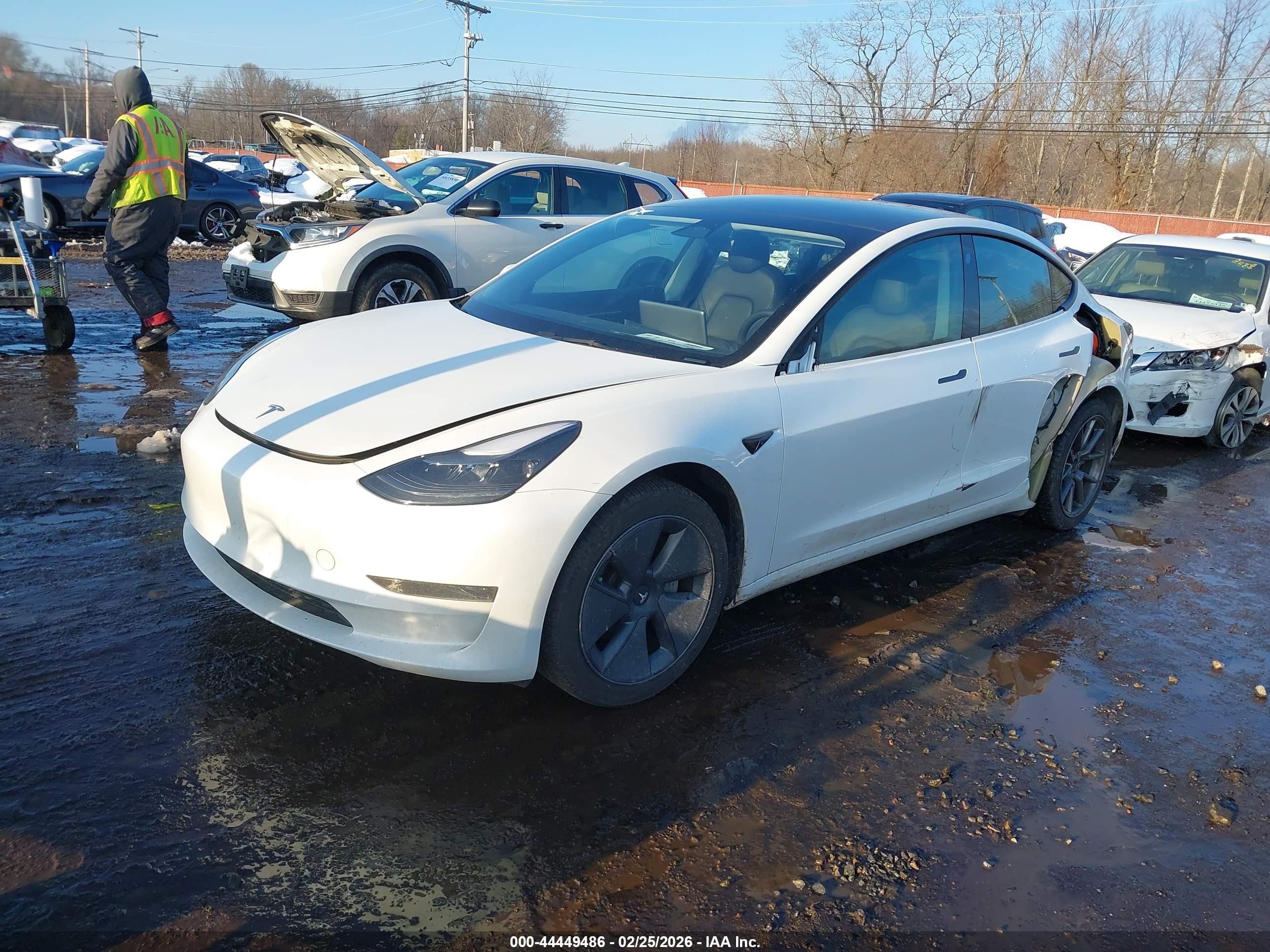 TESLA MODEL image 2