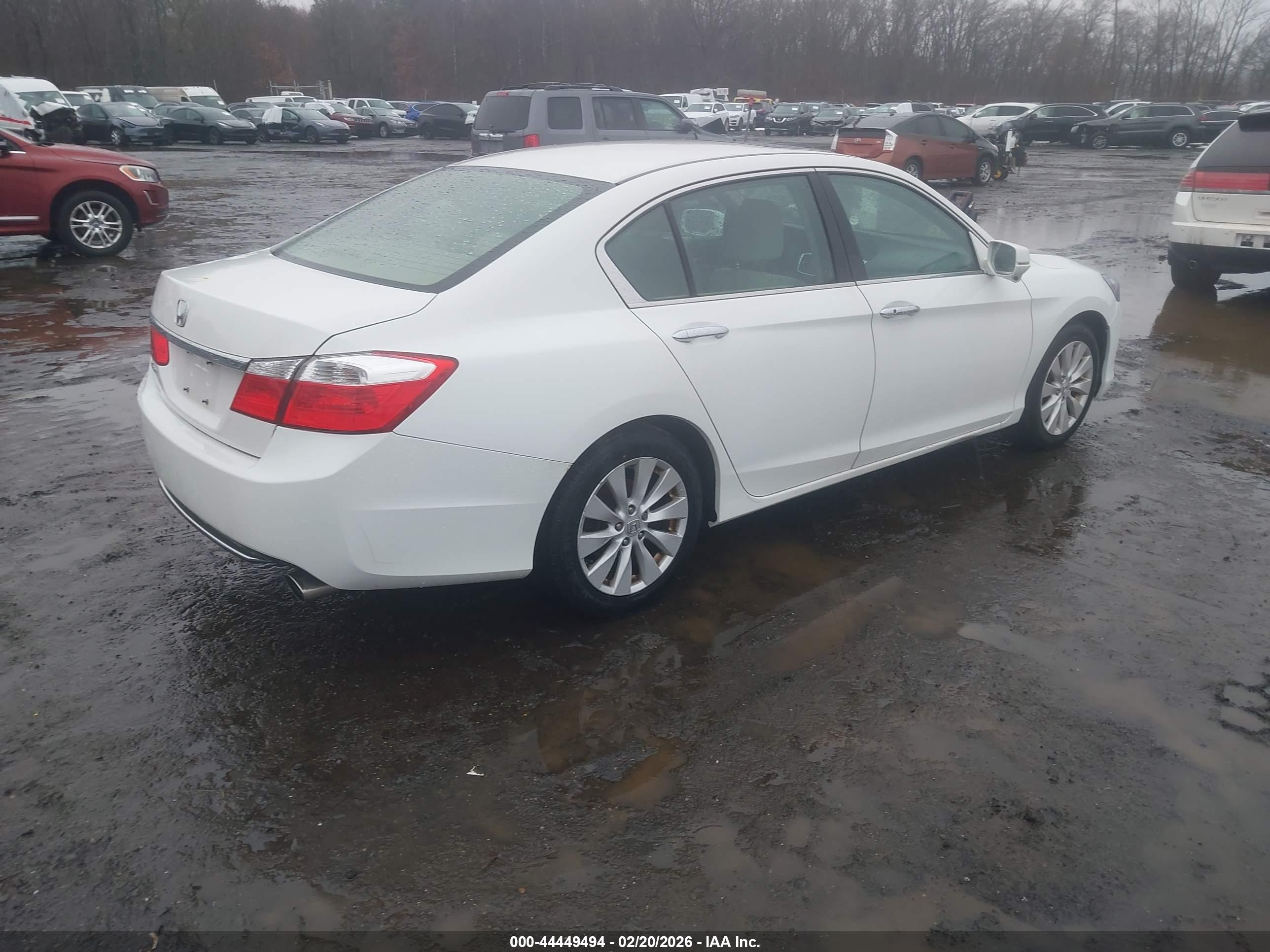 HONDA ACCORD image 4