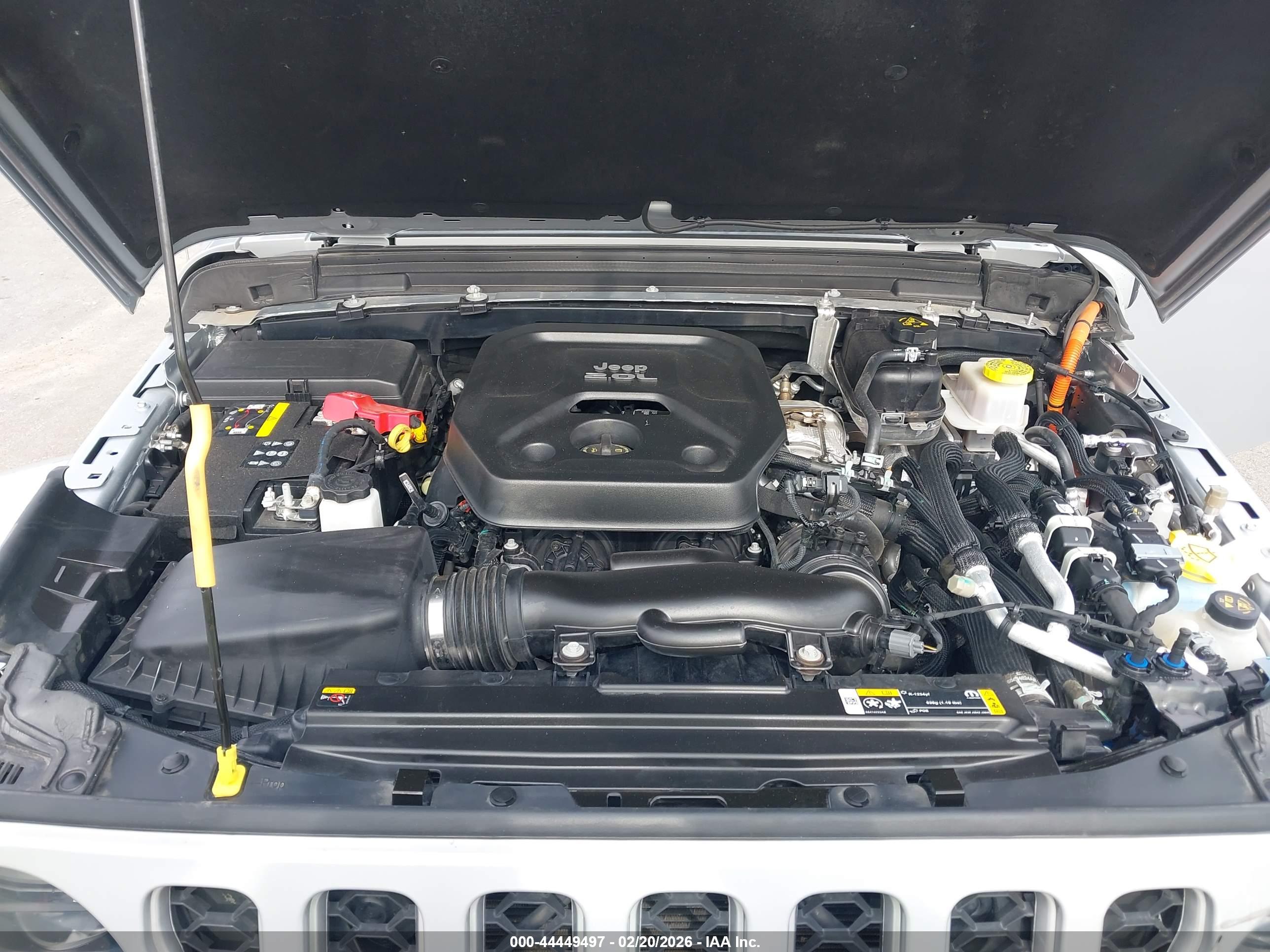 JEEP WRANGLER image 10