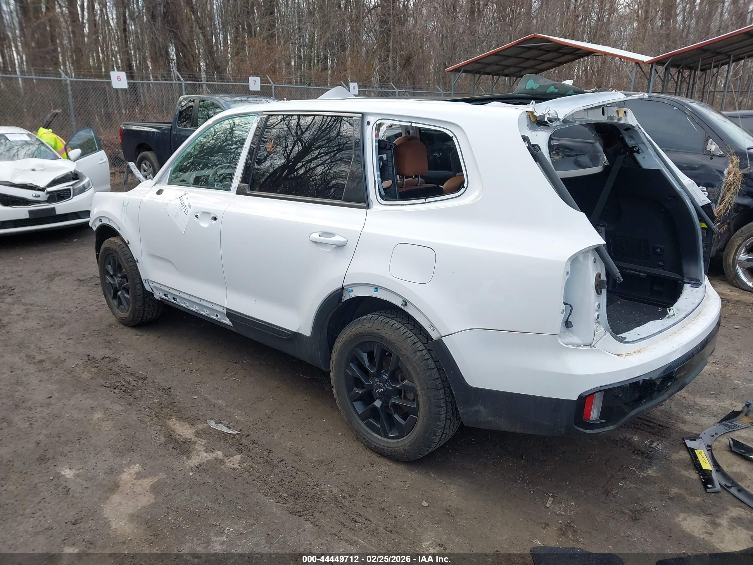 KIA TELLURIDE image 3
