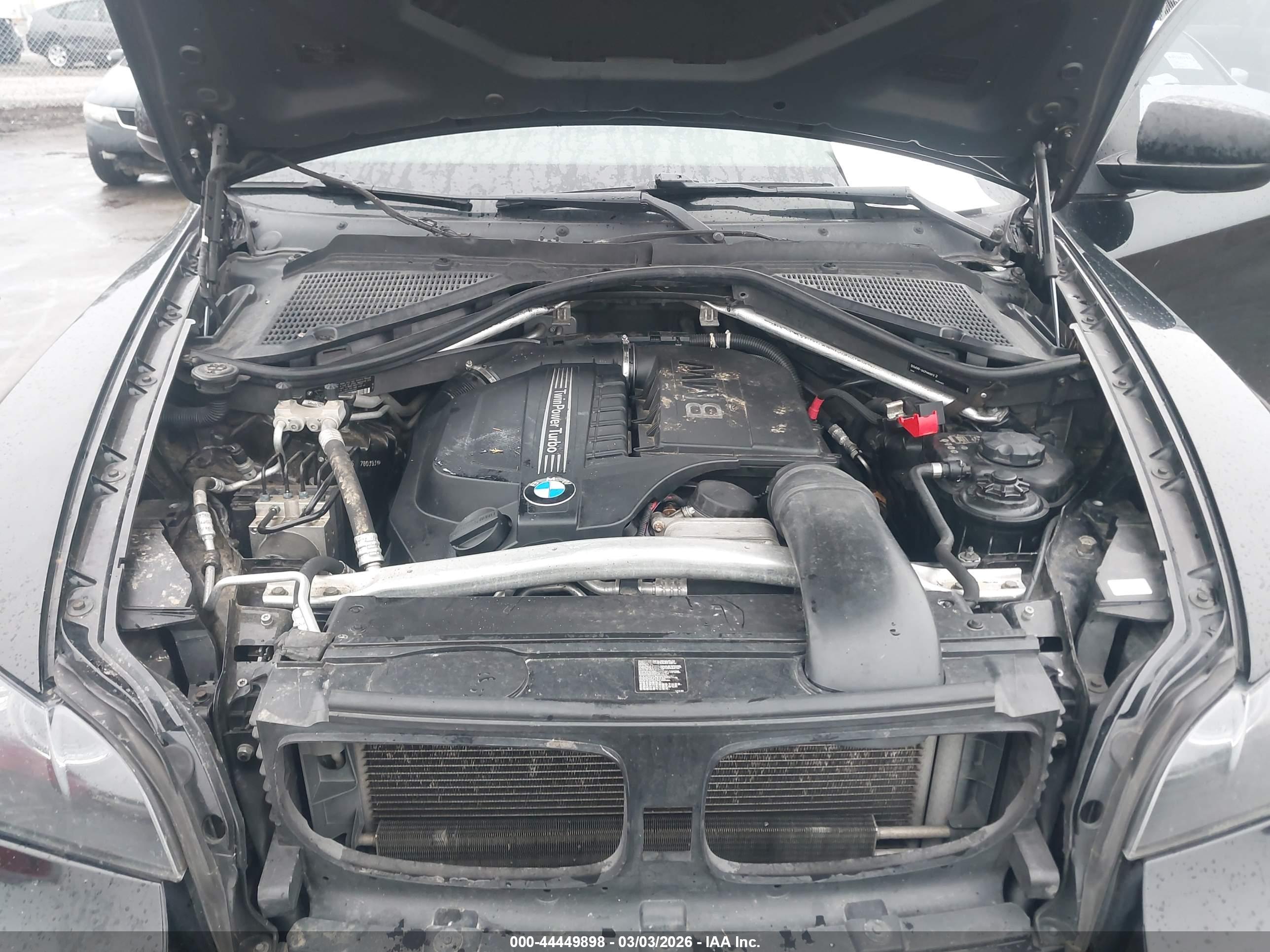 BMW X6 image 10