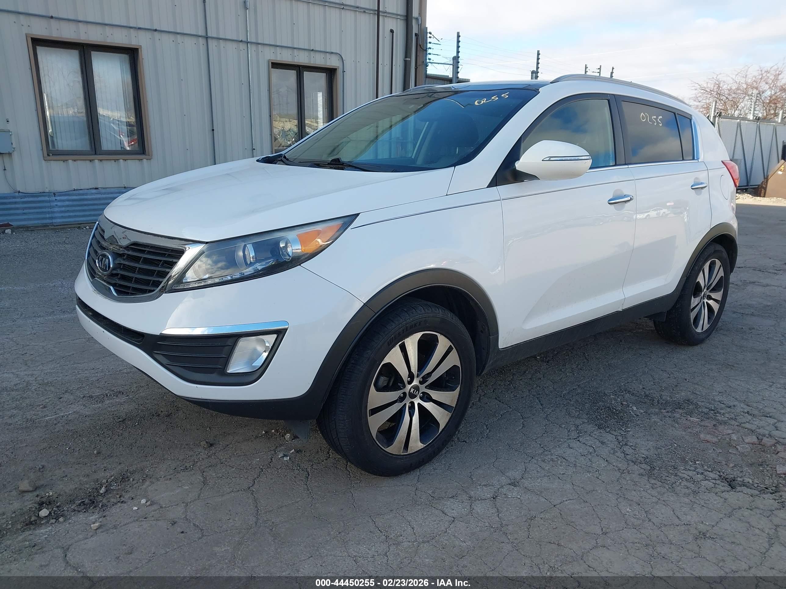 KIA SPORTAGE image 2