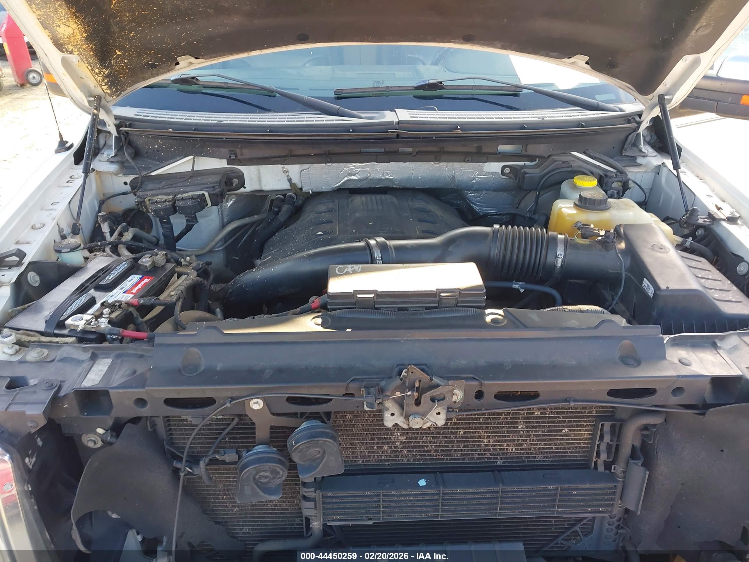 FORD F-150 image 10