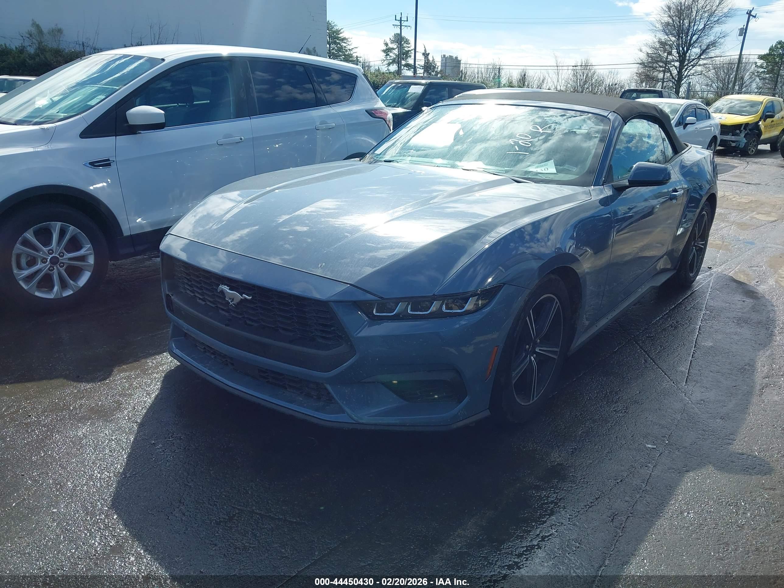 FORD MUSTANG image 2