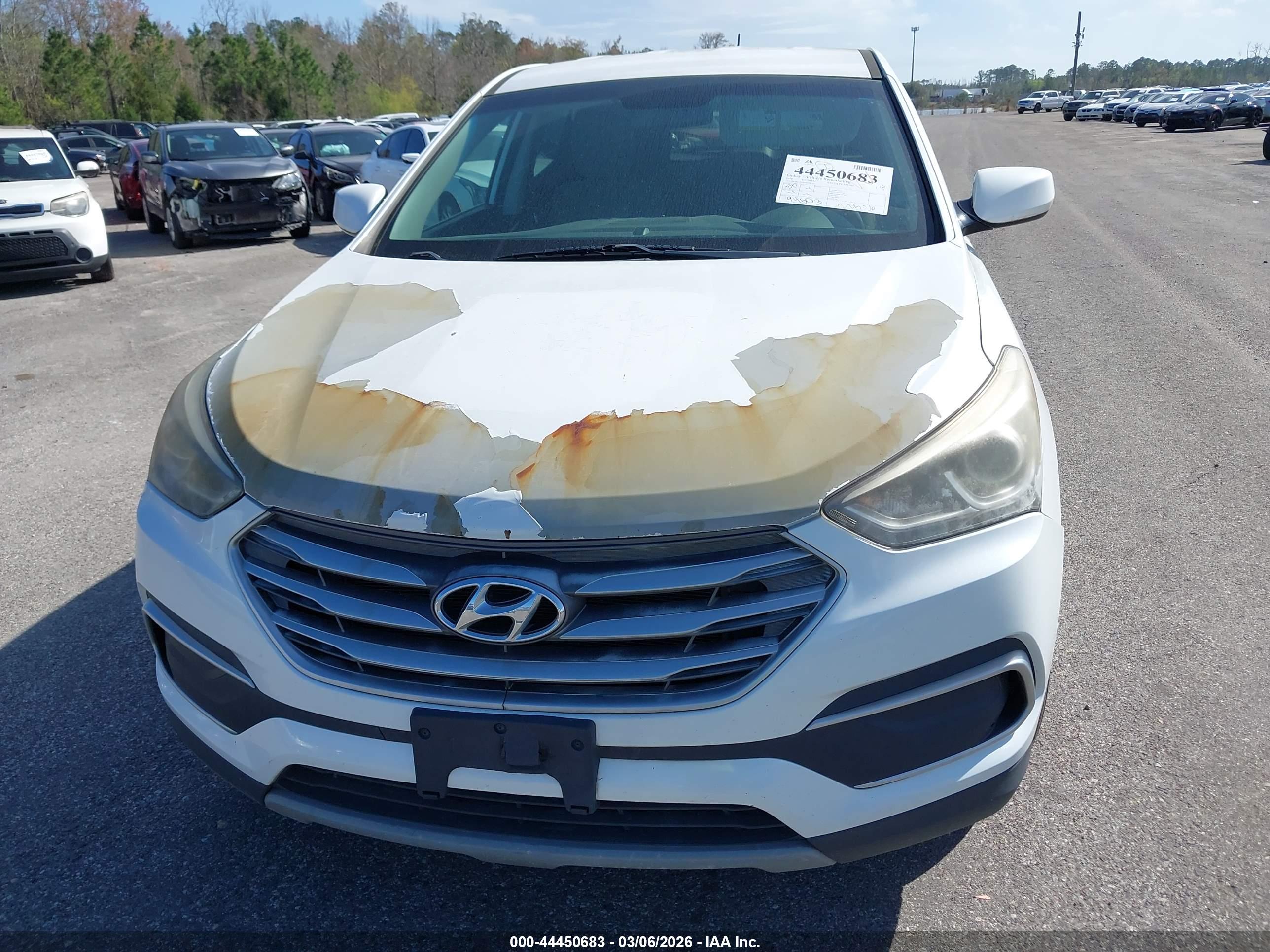 HYUNDAI SANTA image 6