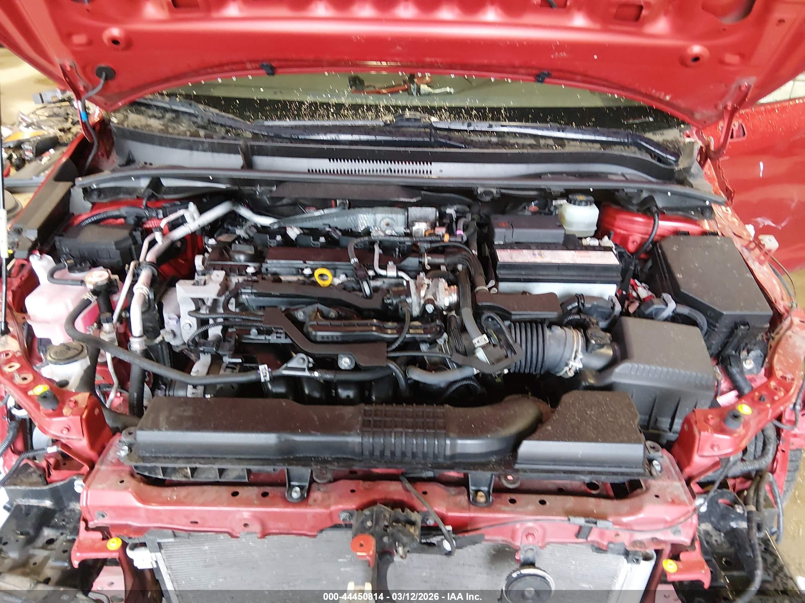 TOYOTA COROLLA image 10