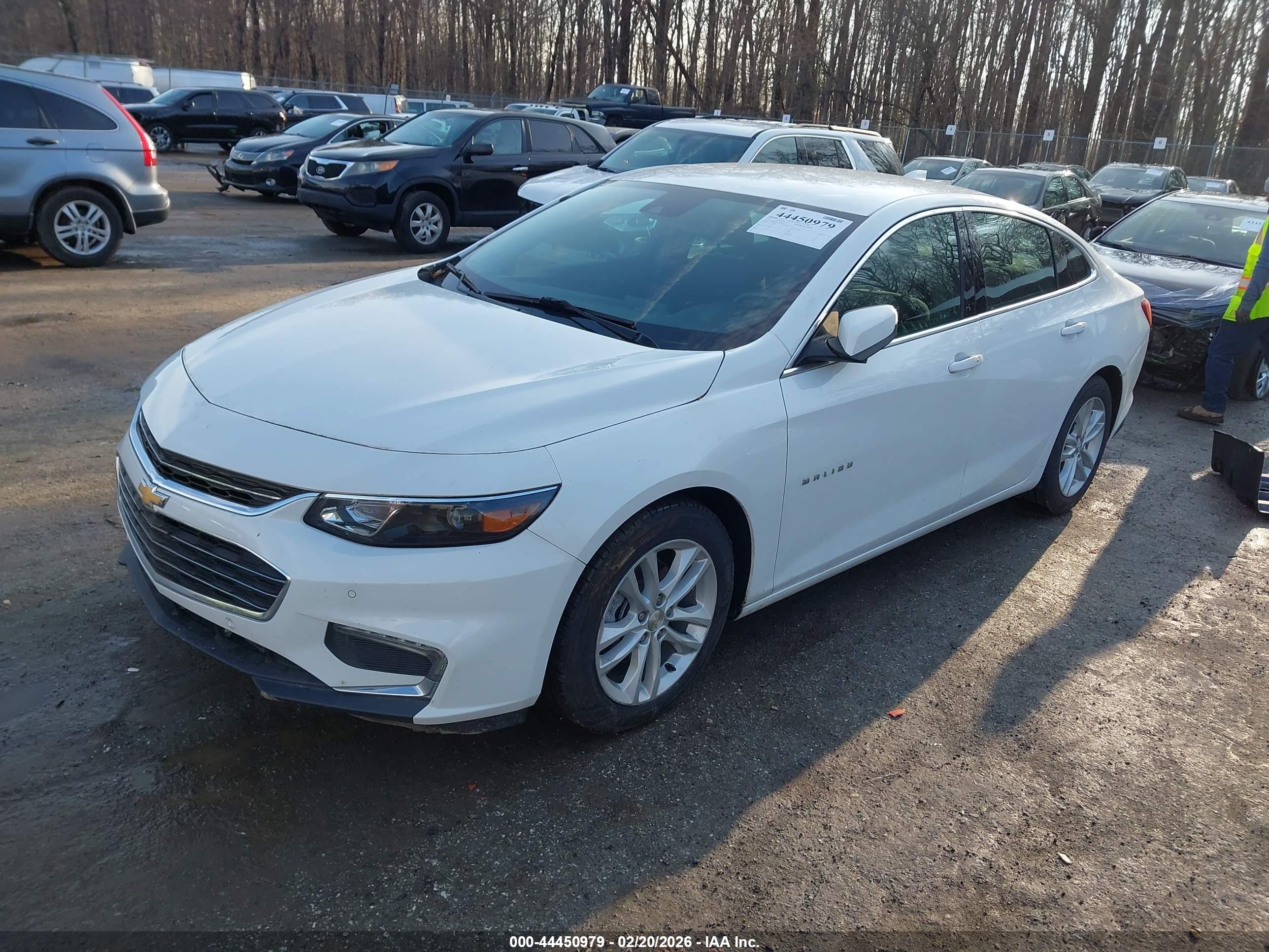 CHEVROLET MALIBU image 2