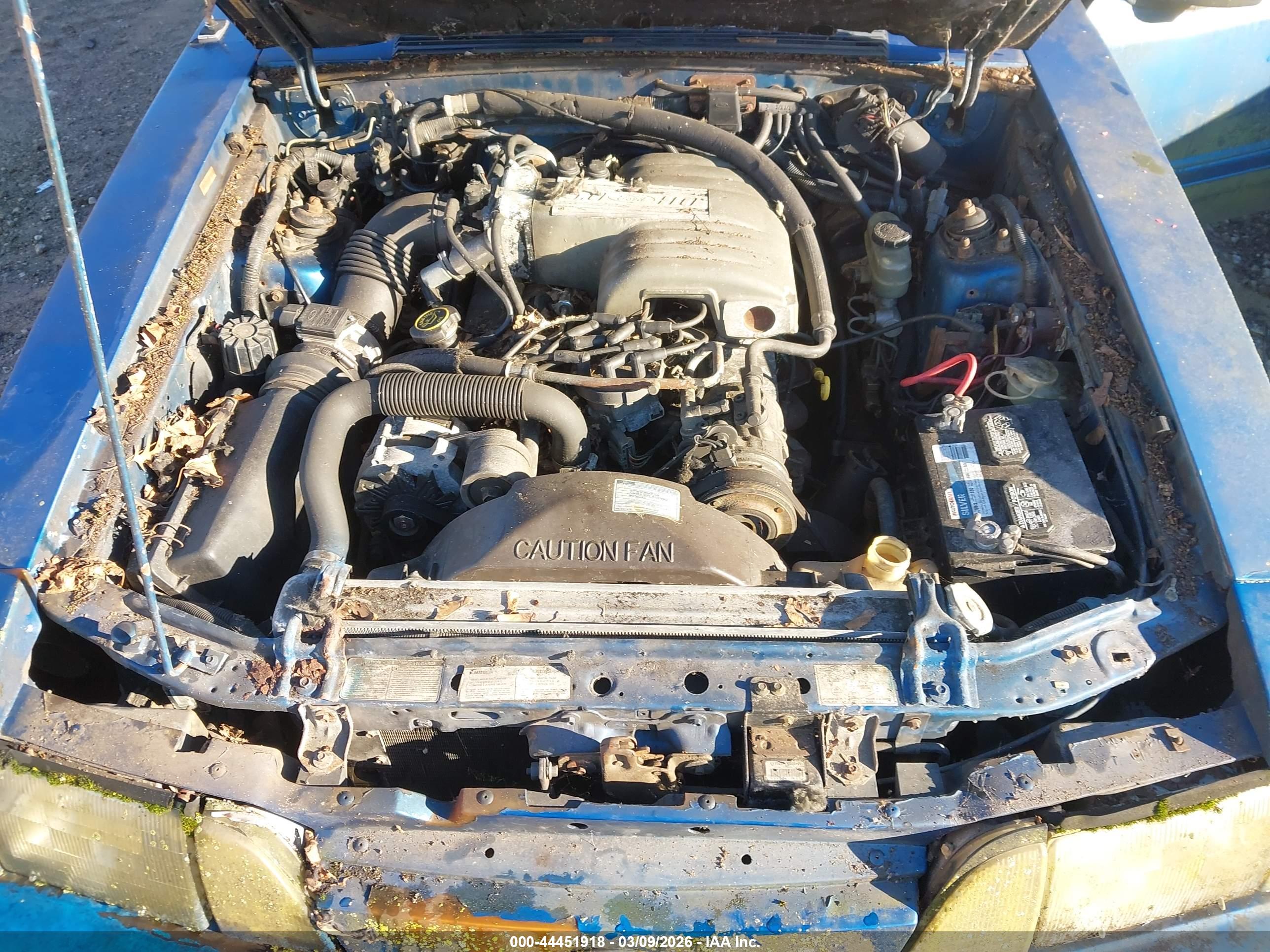 FORD MUSTANG image 10