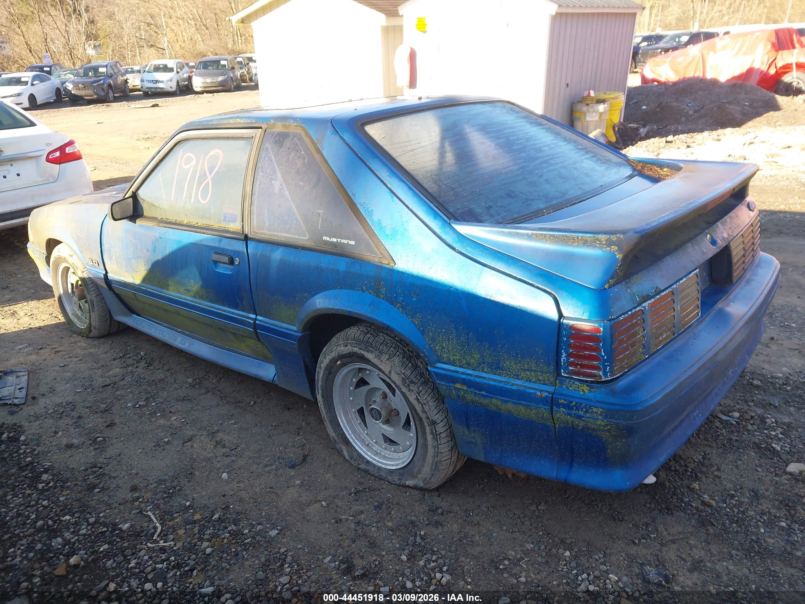 FORD MUSTANG image 3