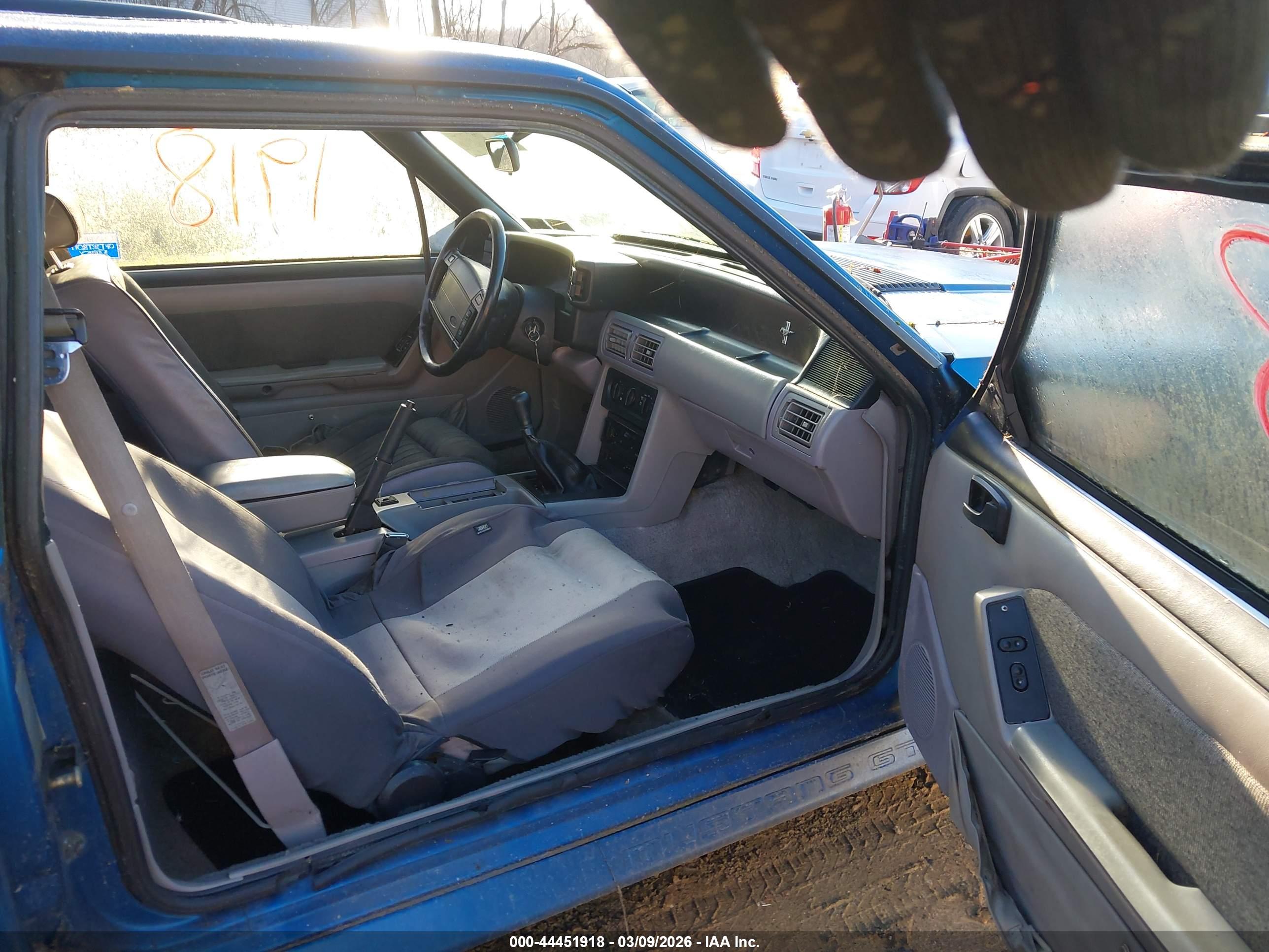 FORD MUSTANG image 5